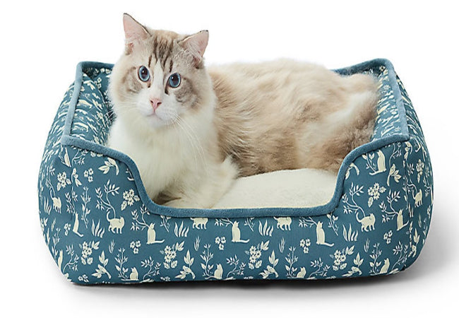 Adult Cat Beds 2025: Vet-Approved Guide by Sleep Style 🐱🛏️