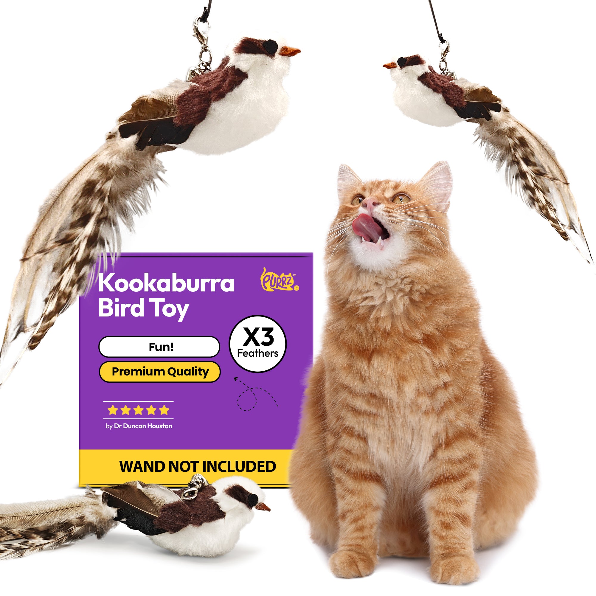 Kookaburra Wand Toy