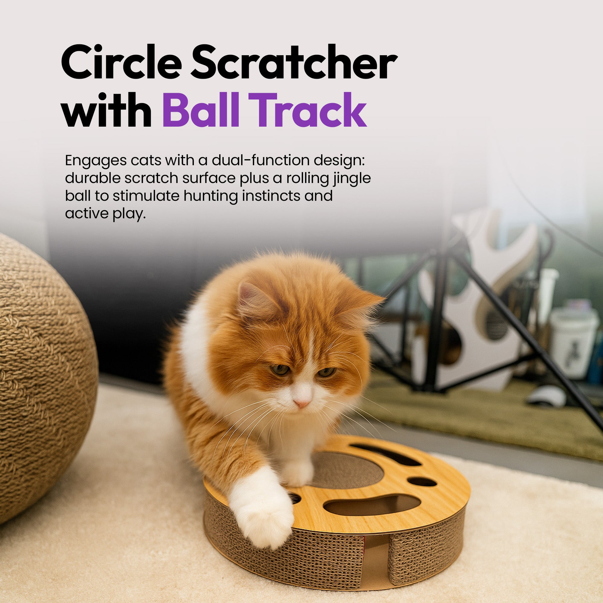 Cardboard Circle Cat Scratcher with Bell Ball – 2-in-1 Expandable, Foldable & Eco-Friendly
