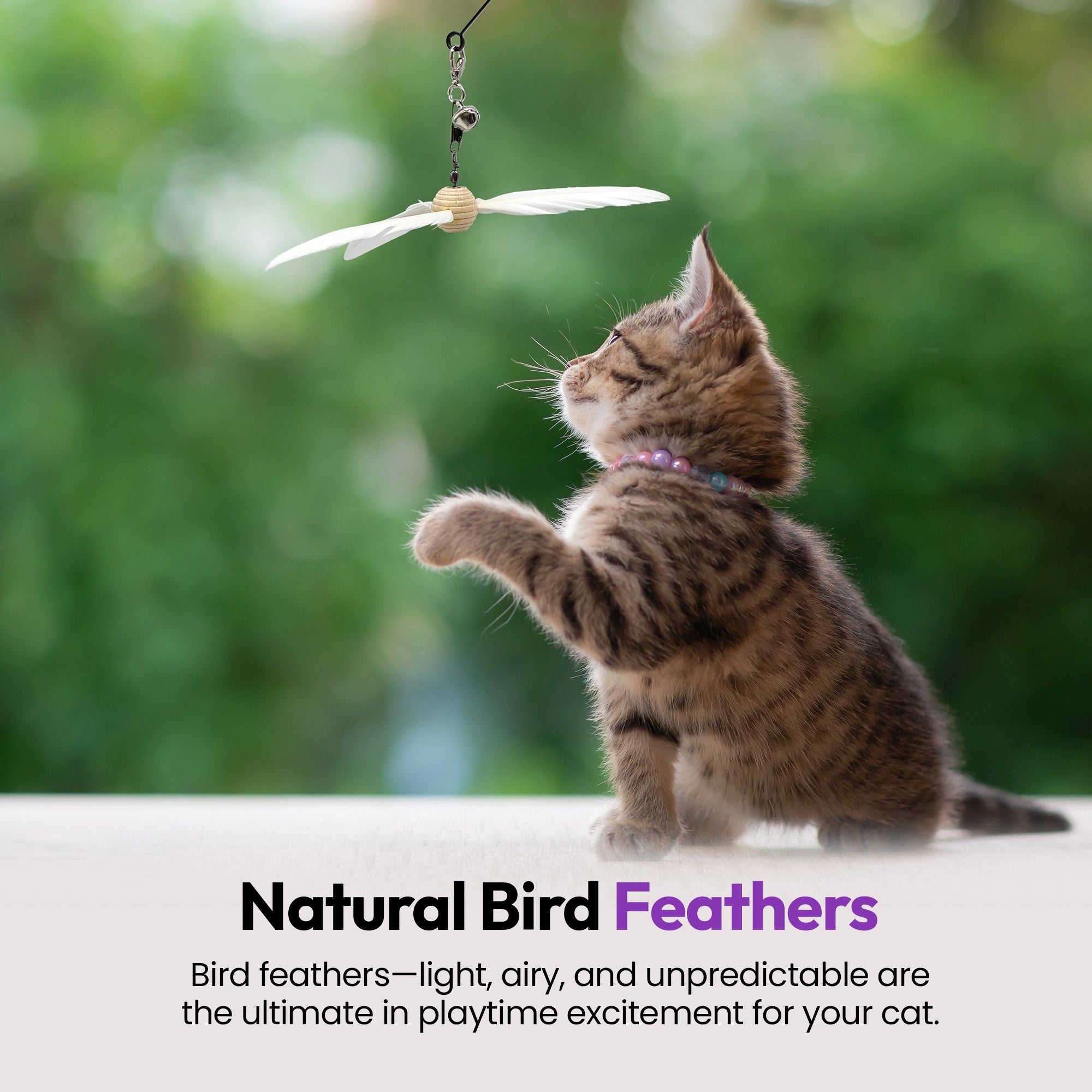 Cockatoo Helicopter Bird Wand Attachment (5-Pack) – Natural, Vet-Approved Refills for Cat Wand Toys