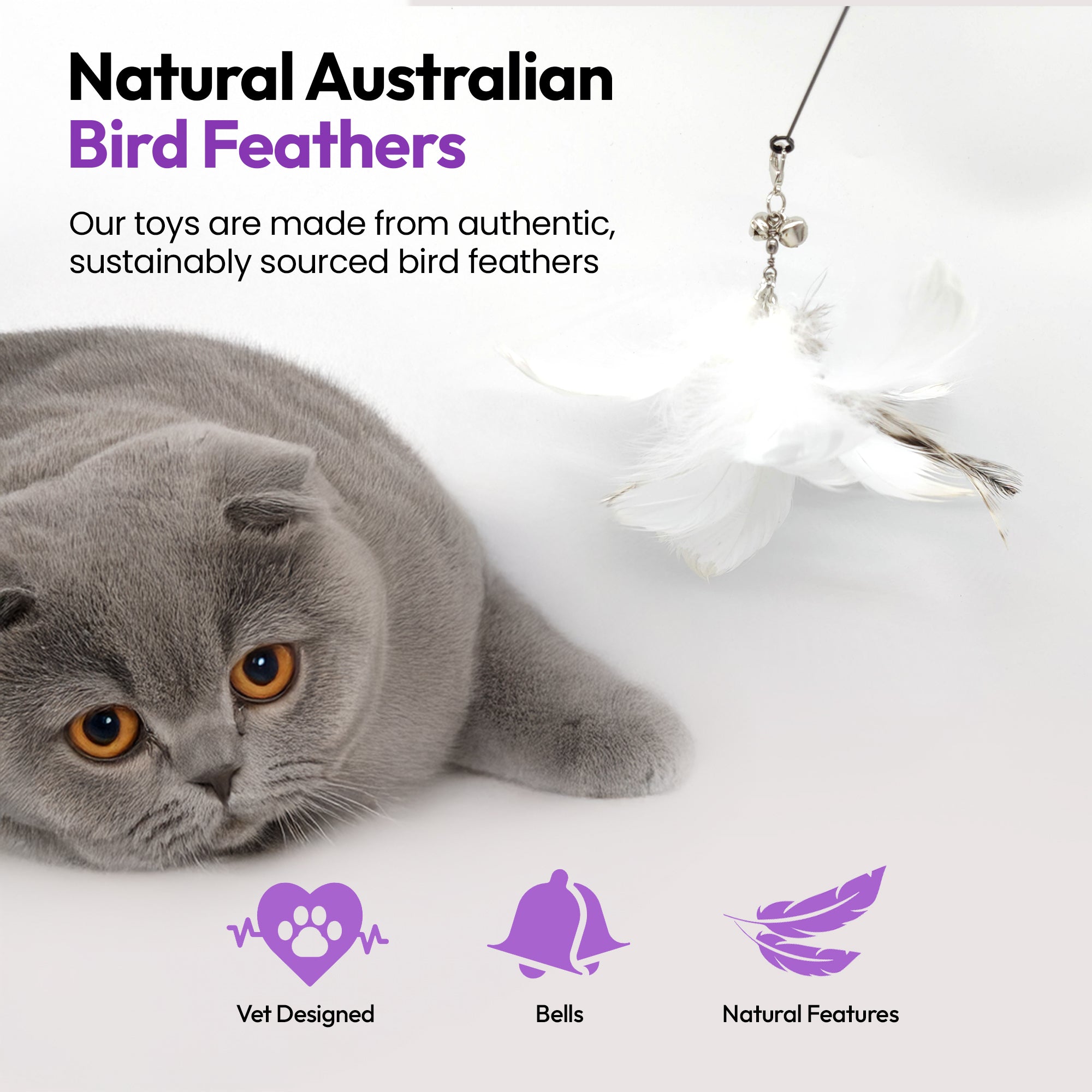 3-Pack Natural Australian Bird Feather Attachments for Cat Wand Toys – Vet-Approved Teaser for Indoor Cats – Fits Fishing Rod, Stick, and String Cat Toys – for Active Play & Mental Stimulation - (Kookabura Jingle Jangle)