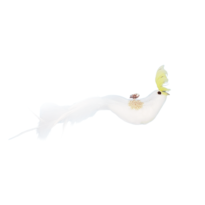 3-Pack Natural Australian Bird Feather Attachments for Cat Wand Toys – Vet-Approved Teaser for Indoor Cats – Fits Fishing Rod, Stick, and String Cat Toys – for Active Play & Mental Stimulation - Cockatoo Bird