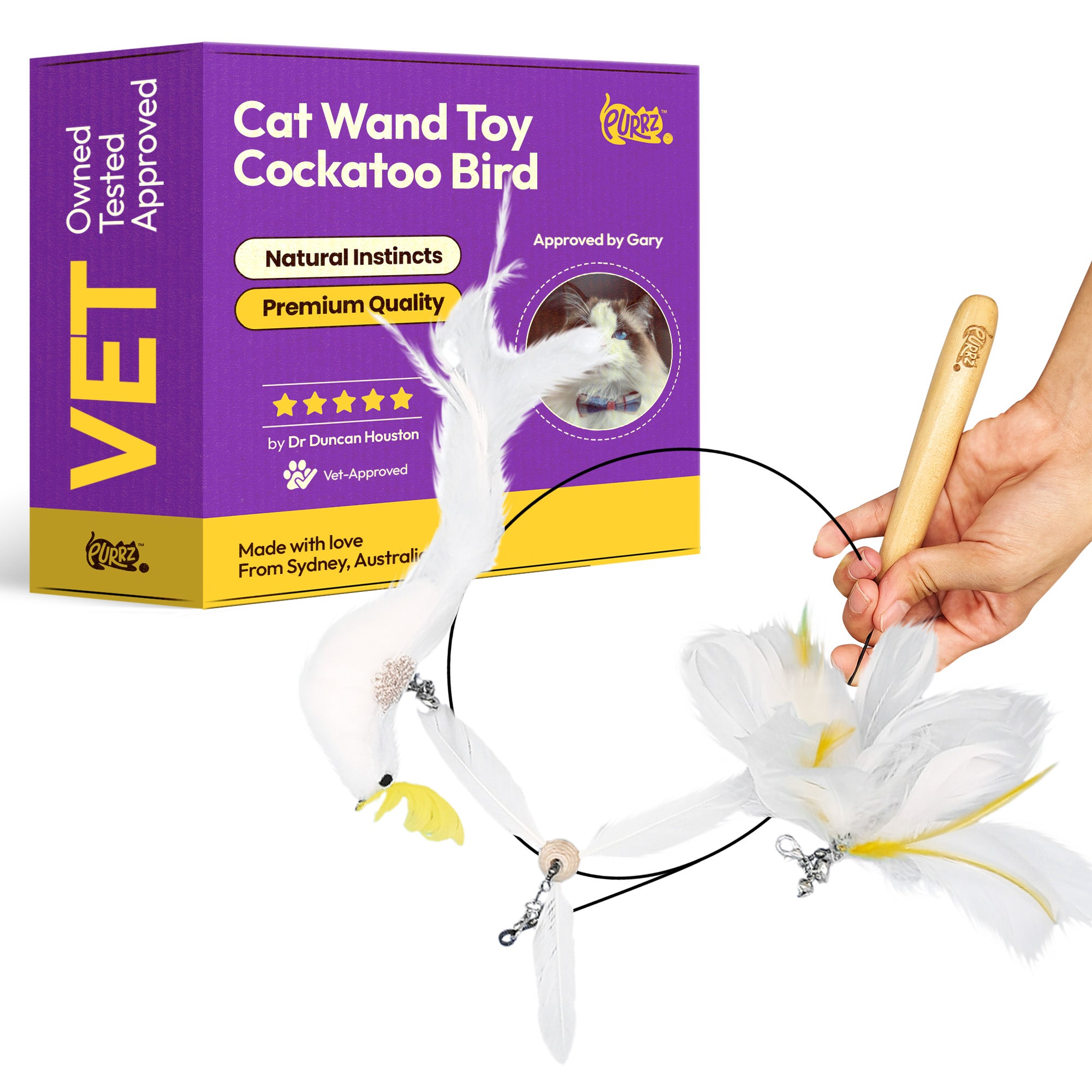 Cat Feather Wand Toy – Cockatoo-Inspired Teaser with Interchangeable Natural Feather Attachments & Flexible Steel Wand