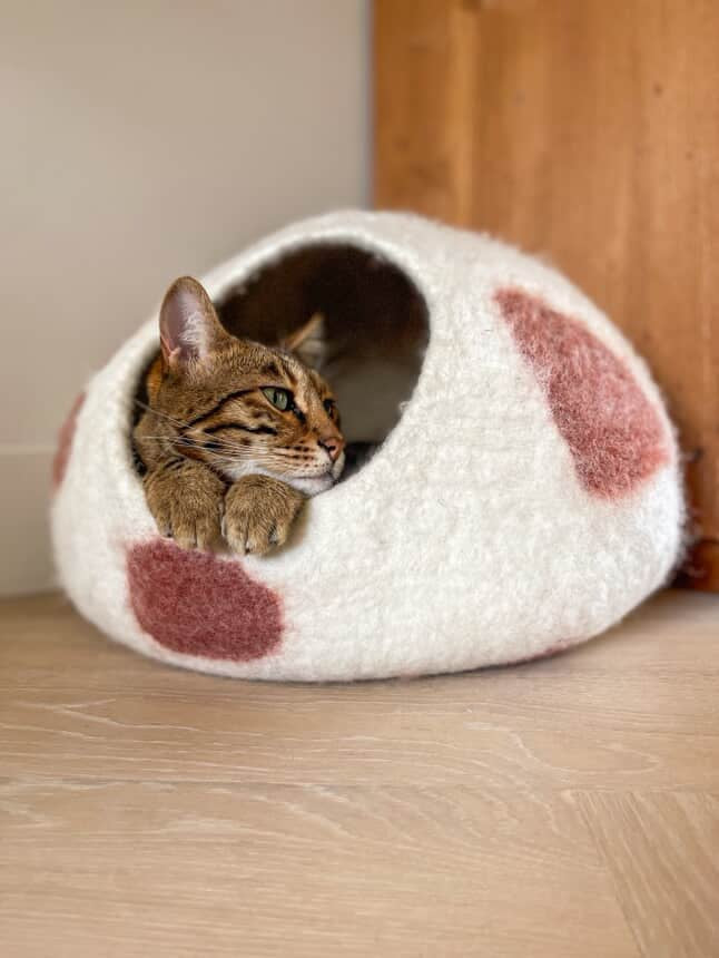💤 Why Cats Love Felt Beds (And How to Pick the Right One)