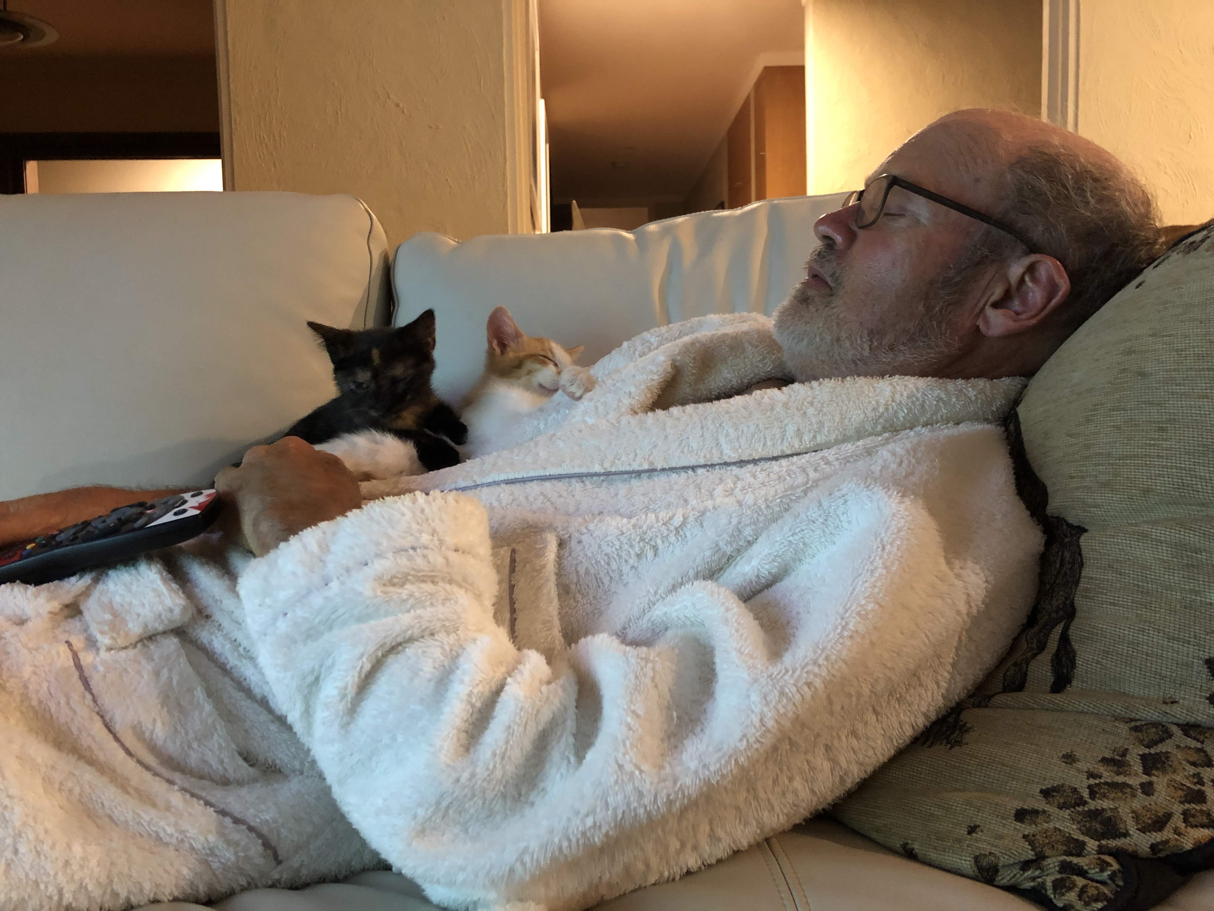 How to Keep a Kitten Warm at Night (Without Overheating)