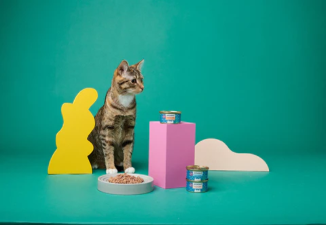 The Purrrfect Diet: Nutritional Needs for Cats of All Ages