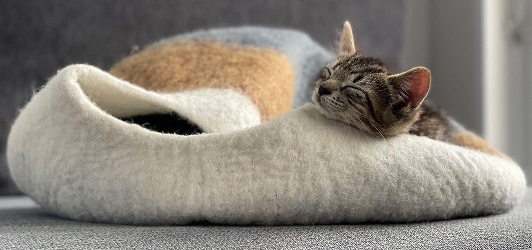 How do I know if my cat is about to bite?