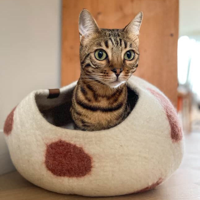 Vet-Approved Cat Beds & Hideouts for Sleep & Comfort | PURRZ – Purrz