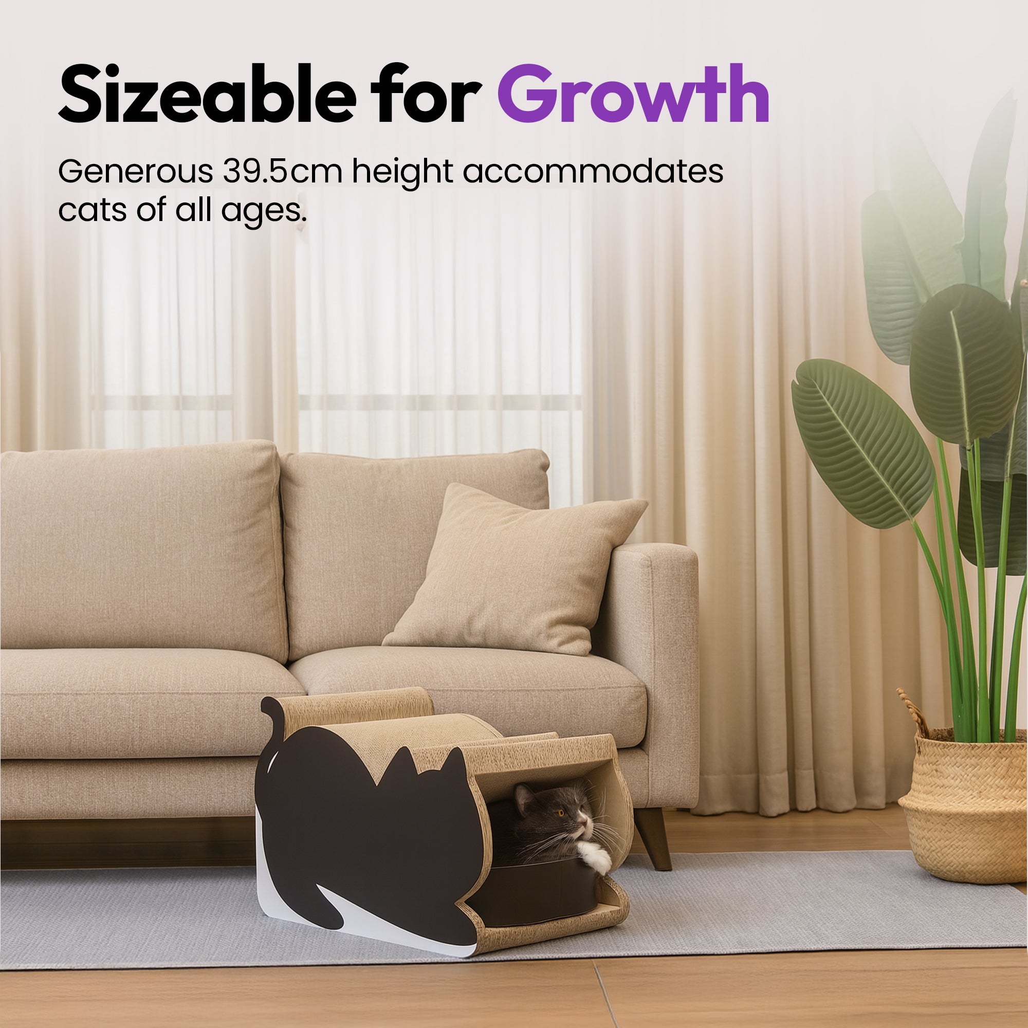 Túnel gigante para gatos, rascador con descanso y juego de bolas de lana