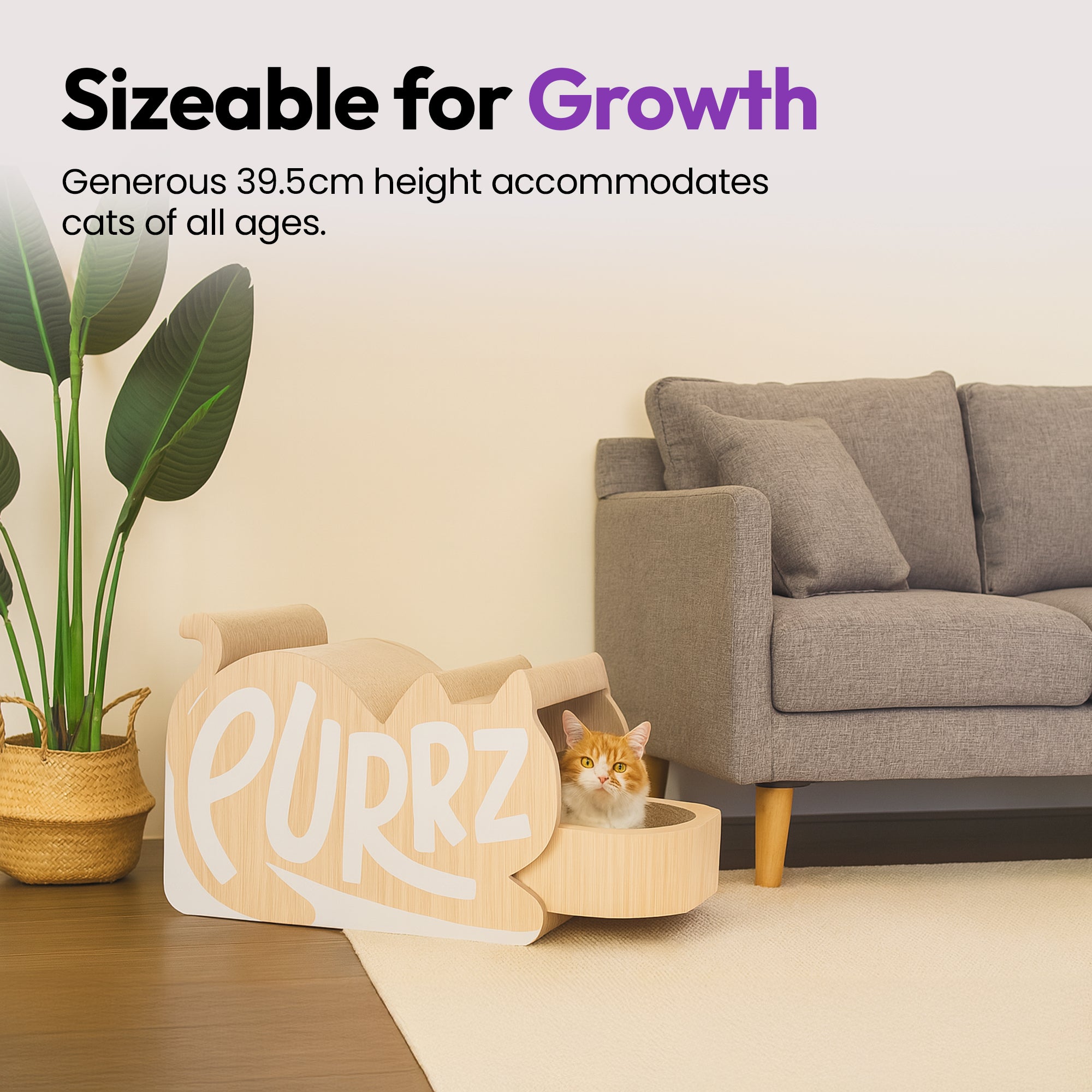 Túnel gigante para gatos, rascador con descanso y juego de bolas de lana