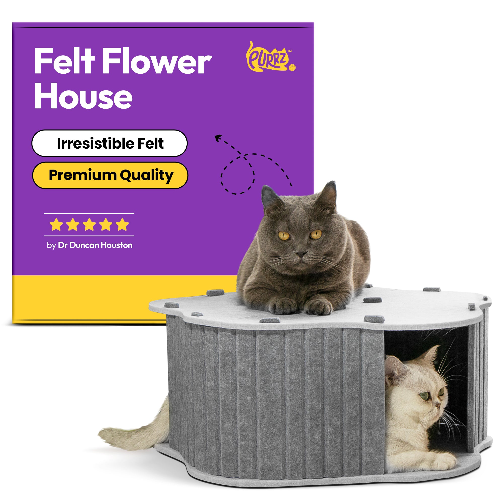 Flower Cat Cave Tunnel House Home for Indoor Cats