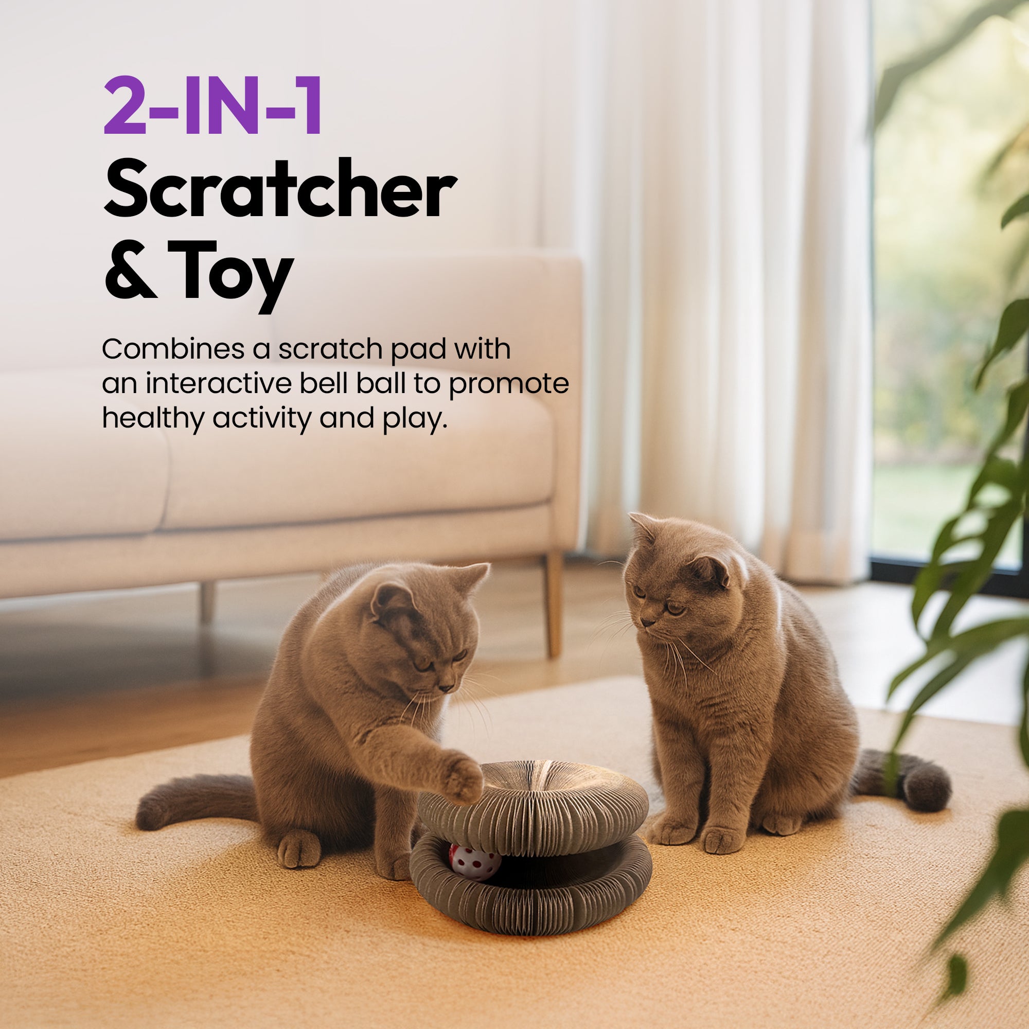 Expand & Flex Cat Toy