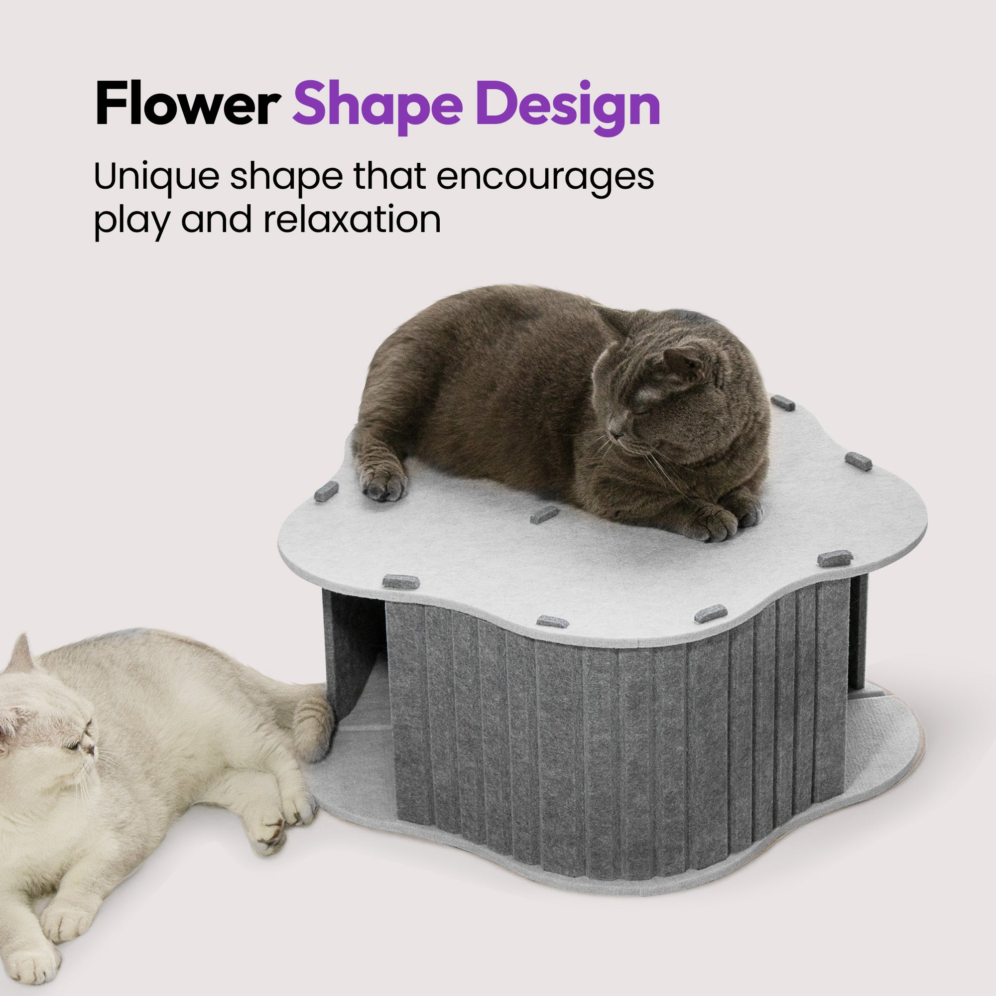 Flower Cat Cave Tunnel House Home for Indoor Cats