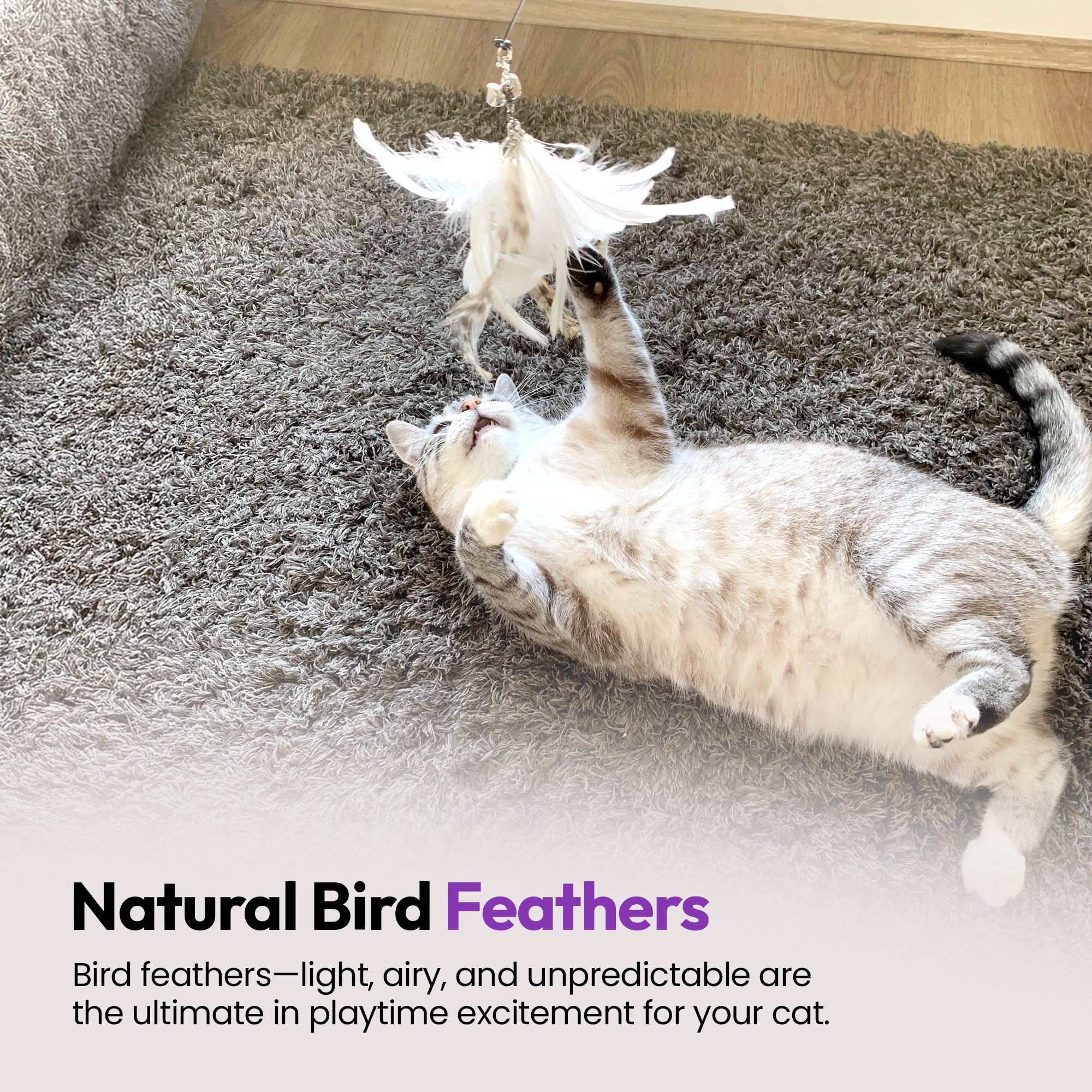 3-Pack Natural Australian Bird Feather Attachments for Cat Wand Toys – Vet-Approved Teaser for Indoor Cats – Fits Fishing Rod, Stick, and String Cat Toys – for Active Play & Mental Stimulation (Kookaburra Jingle Jangle)