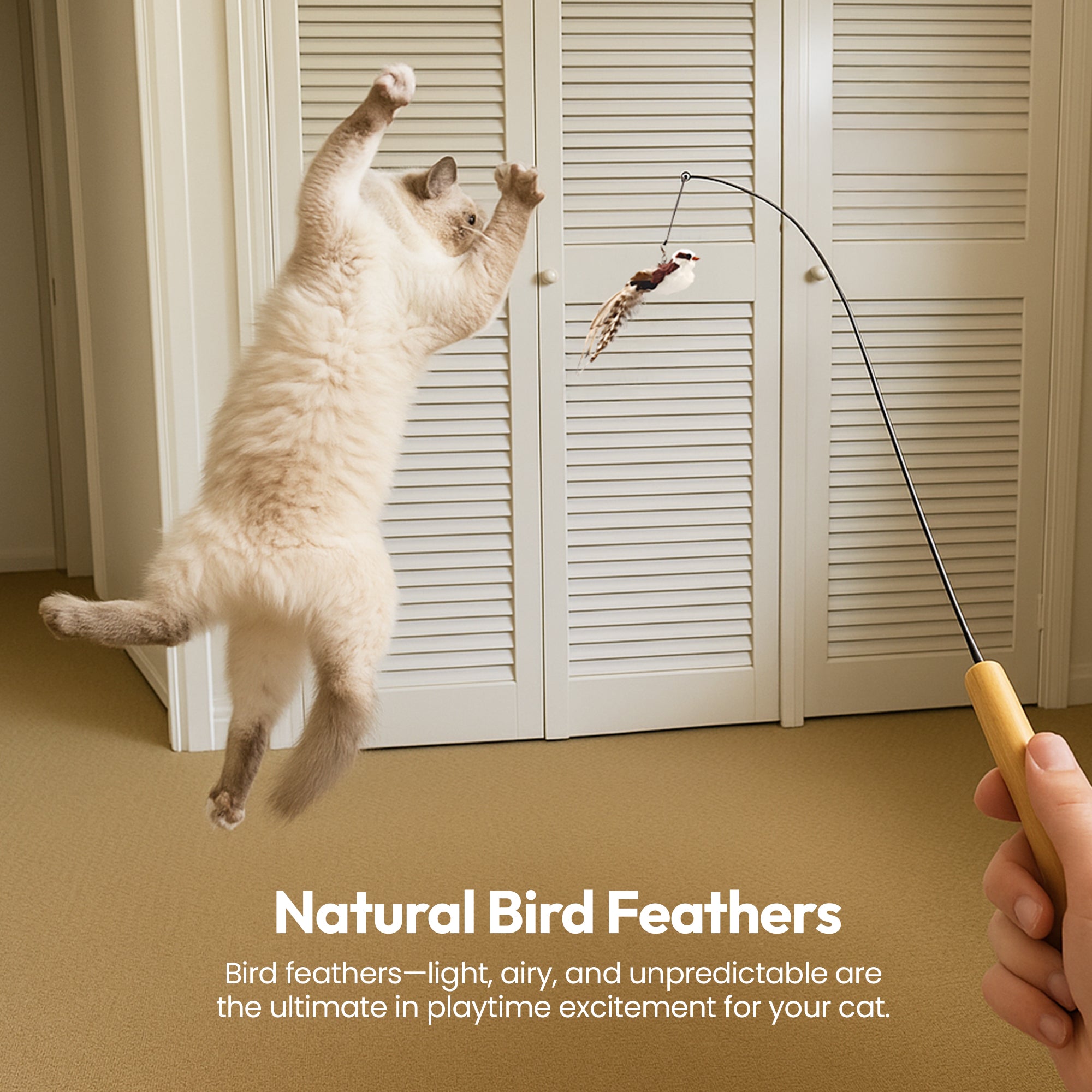 PURRZ Cat Feather Wand Toy – Natural Cockatoo-Inspired Teaser with 3 Interchangeable Feather Toys, Flexible Steel Wand, Non-Toxic, Vet-Designed Interactive Toy for Indoor Cats, Kittens & Seniors - ( Kookabura)
