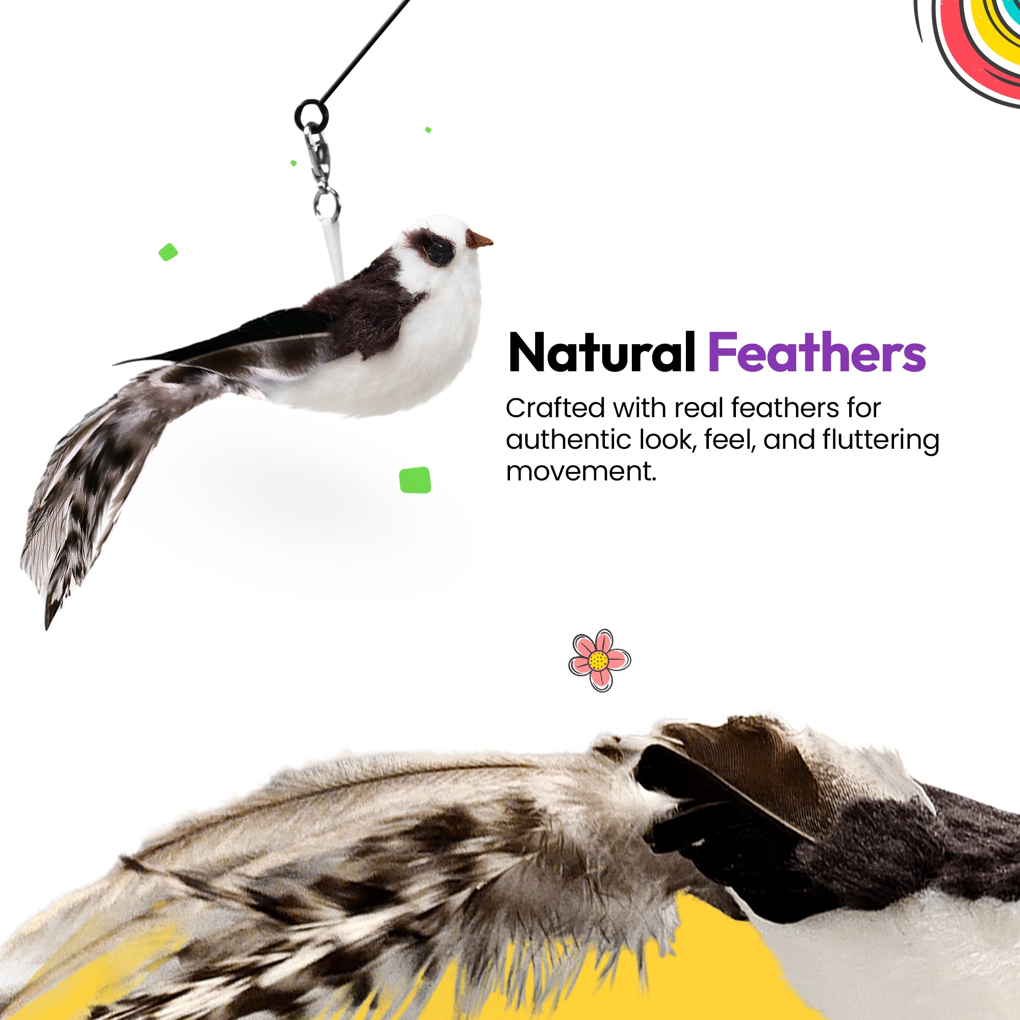 Kookaburra Craze Feder-Spielzeug Holzstab-Set