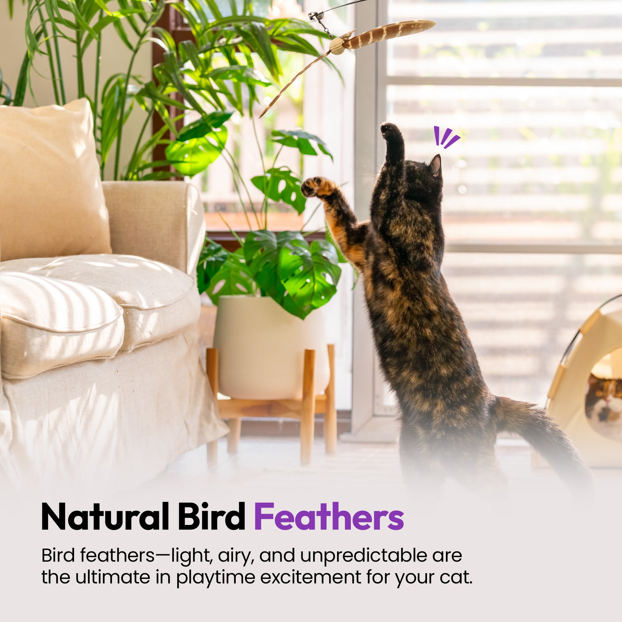 3-Pack Natural Australian Bird Feather Attachments for Cat Wand Toys – Vet-Approved Teaser for Indoor Cats – Fits Fishing Rod, Stick, and String Cat Toys – for Active Play & Mental Stimulation (Kookaburra helicopter)
