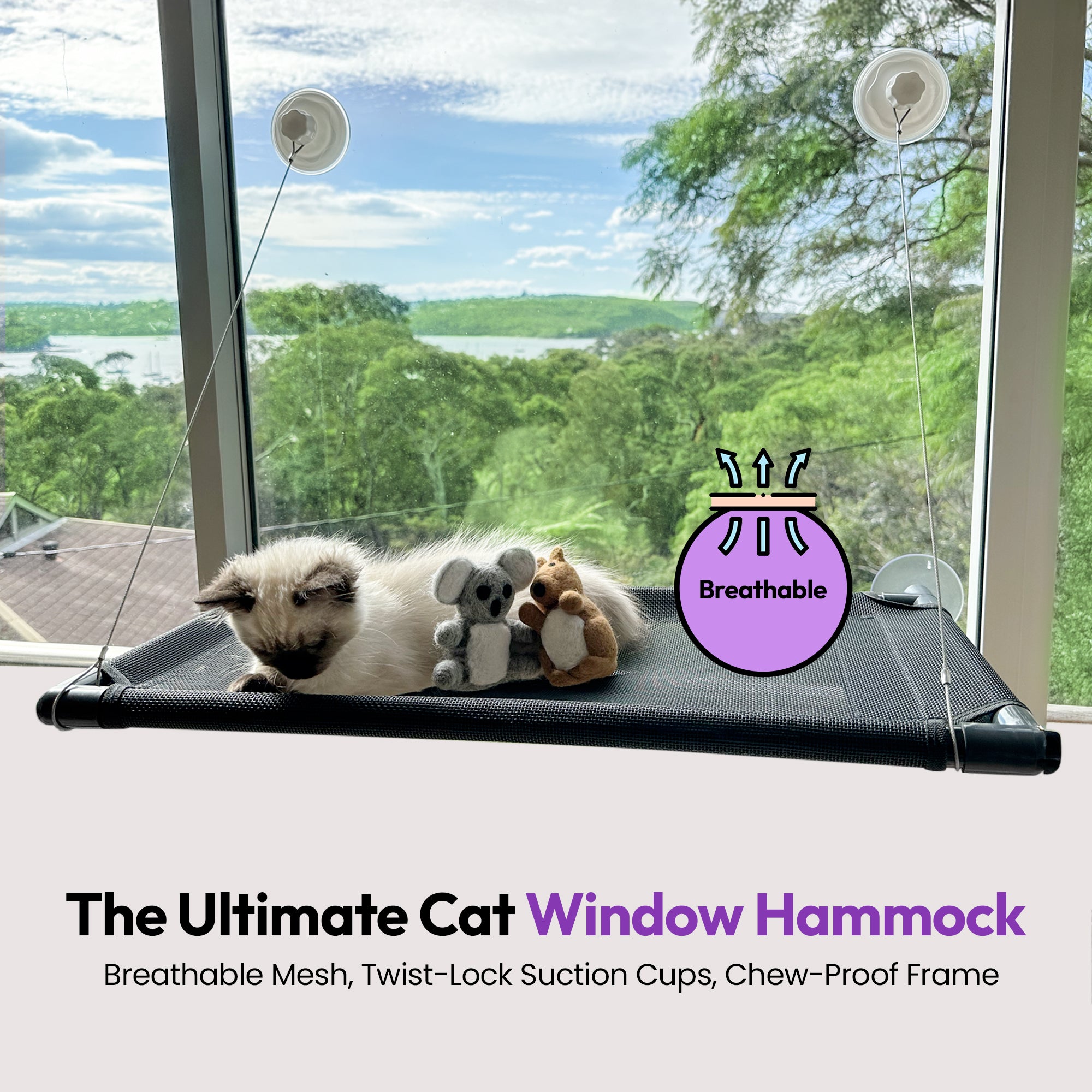 Durable Cat Window Hammock Perch (Large)