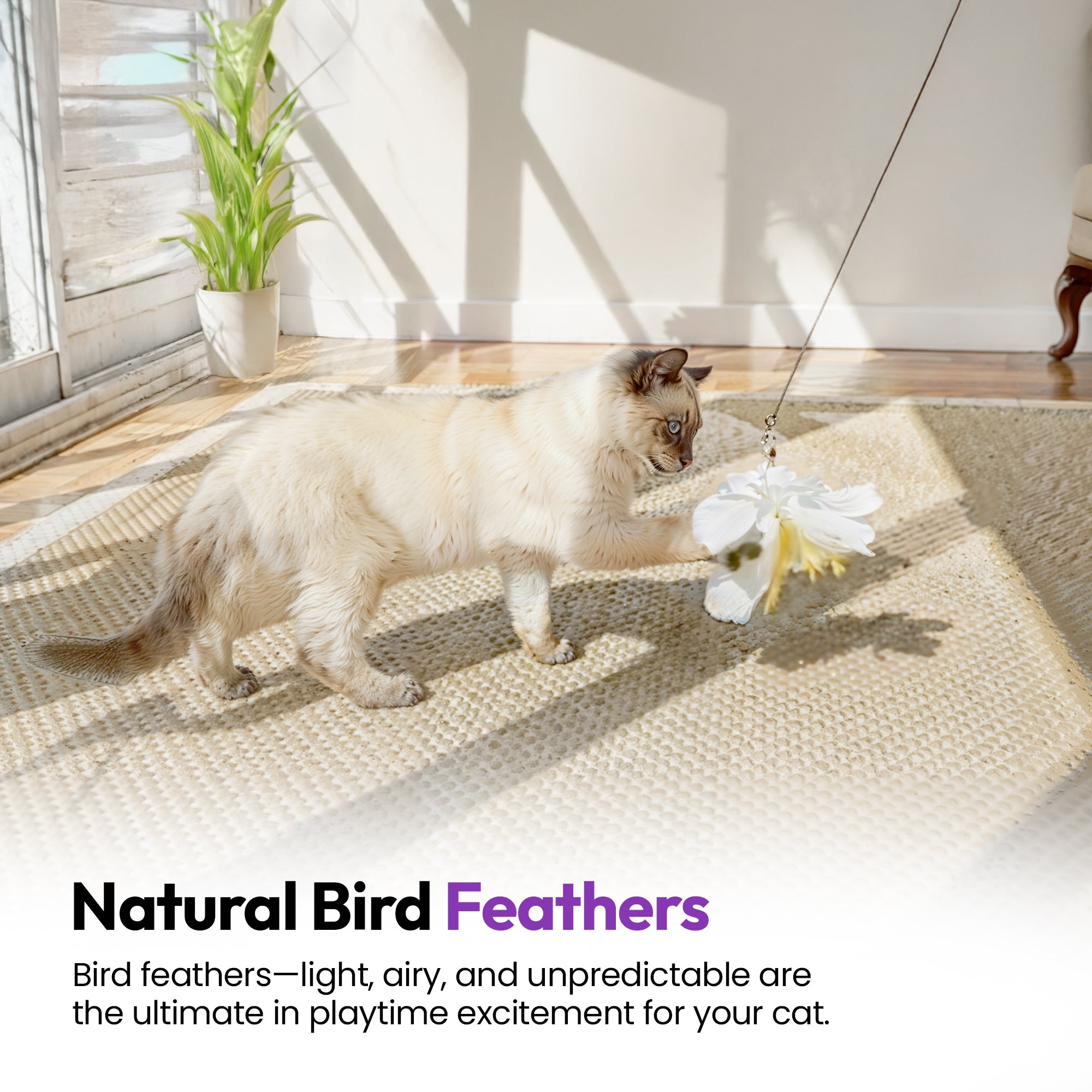 3-Pack Natural Australian Bird Feather Attachments for Cat Wand Toys – Vet-Approved Teaser for Indoor Cats – Fits Fishing Rod, Stick, and String Cat Toys – for Active Play & Mental Stimulation - Cockatoo Jingle Jangle