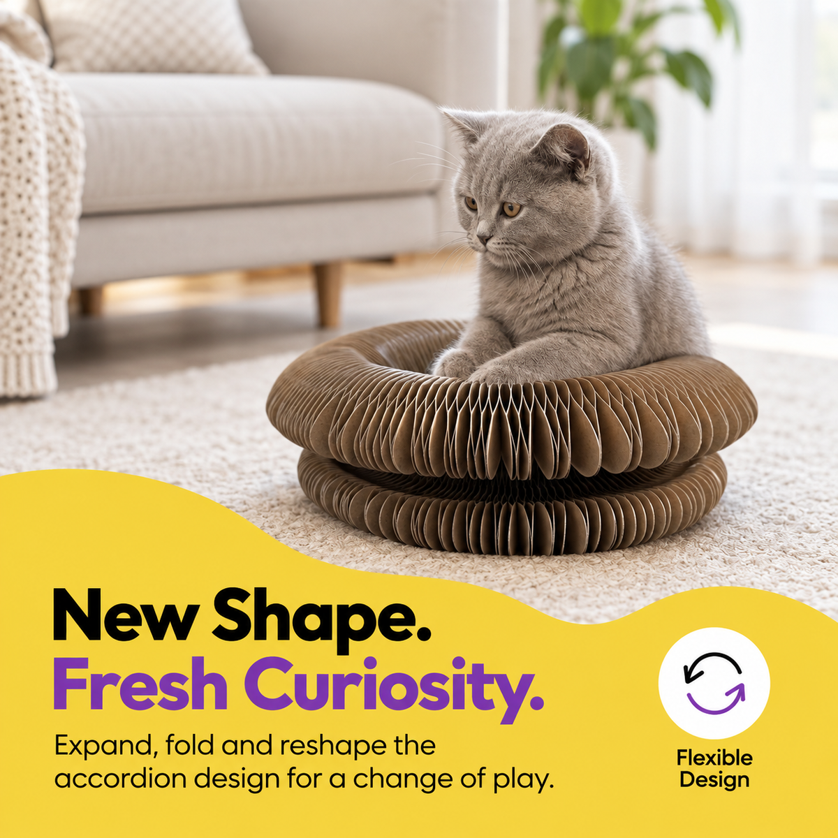 Expand & Flex Toy