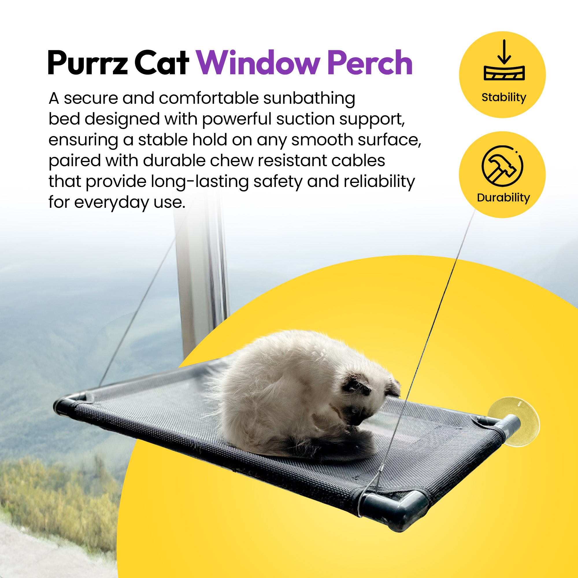 Life Pondering Window Hammock