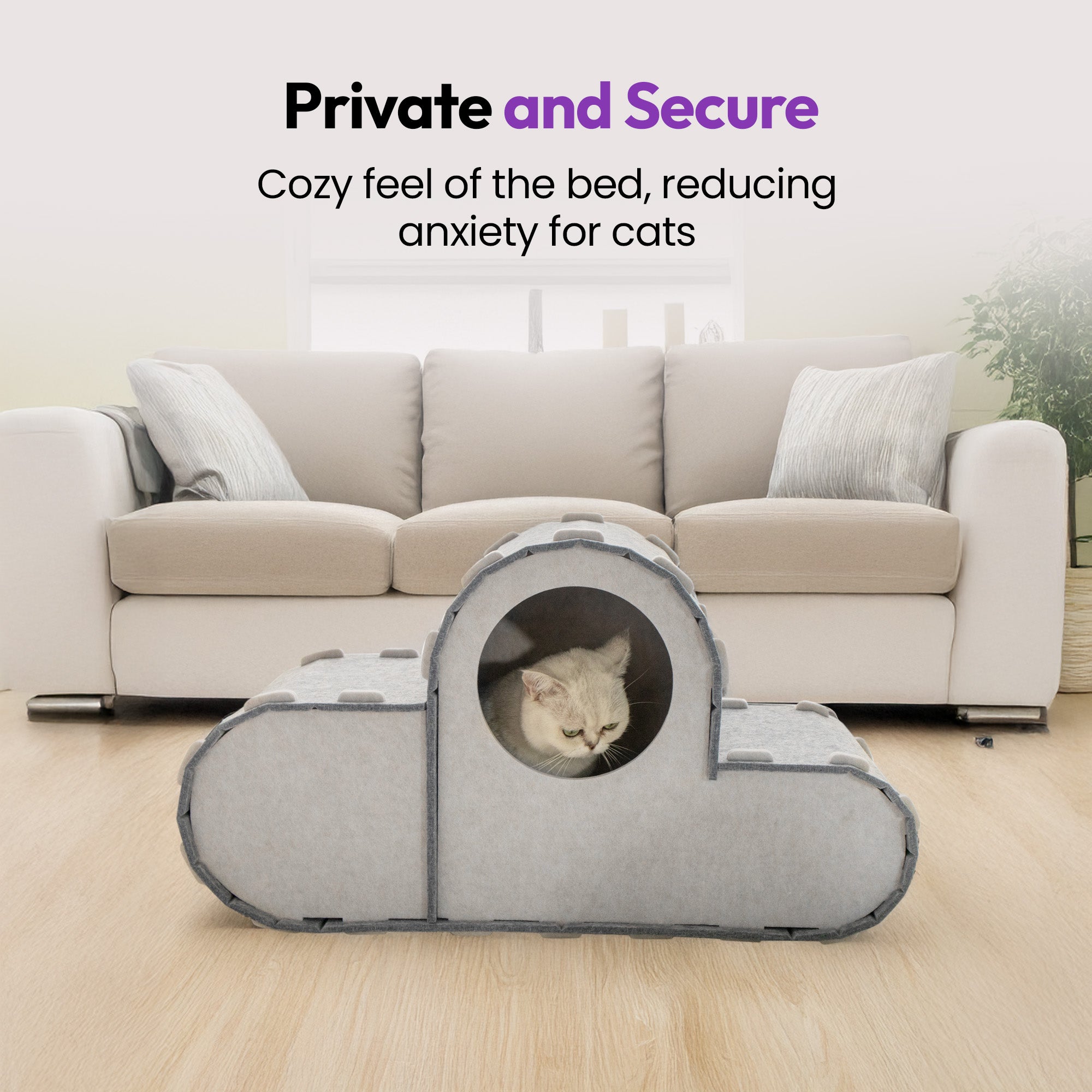 Condo Cloud Nine