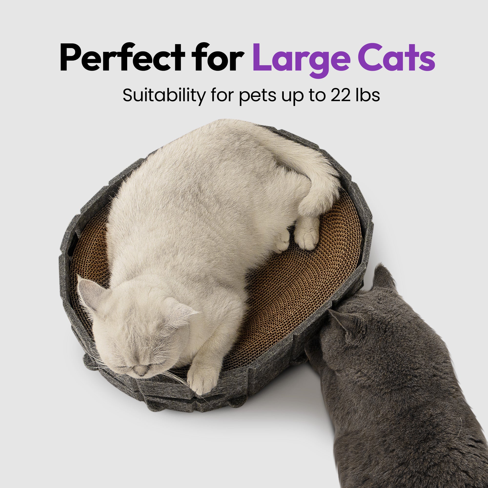 抓挠与休憩椭圆形玩具抓板