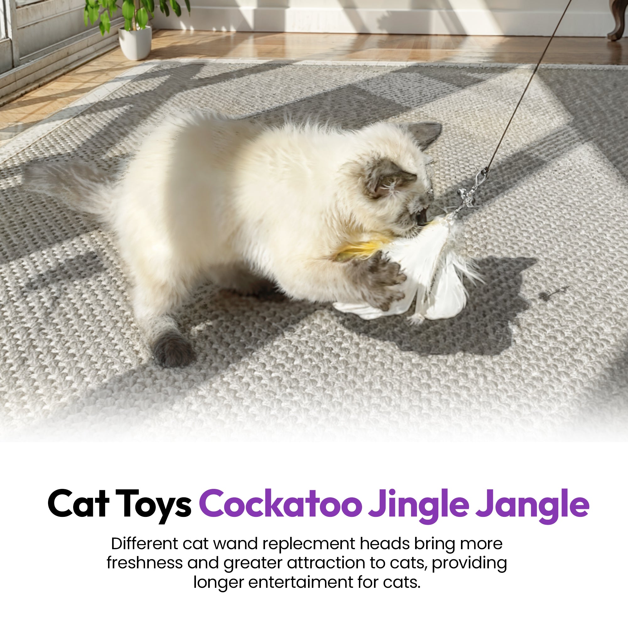 Set d’accessoires jouets plume Cockatoo Chaos (5 pièces / Jingle Jangles)