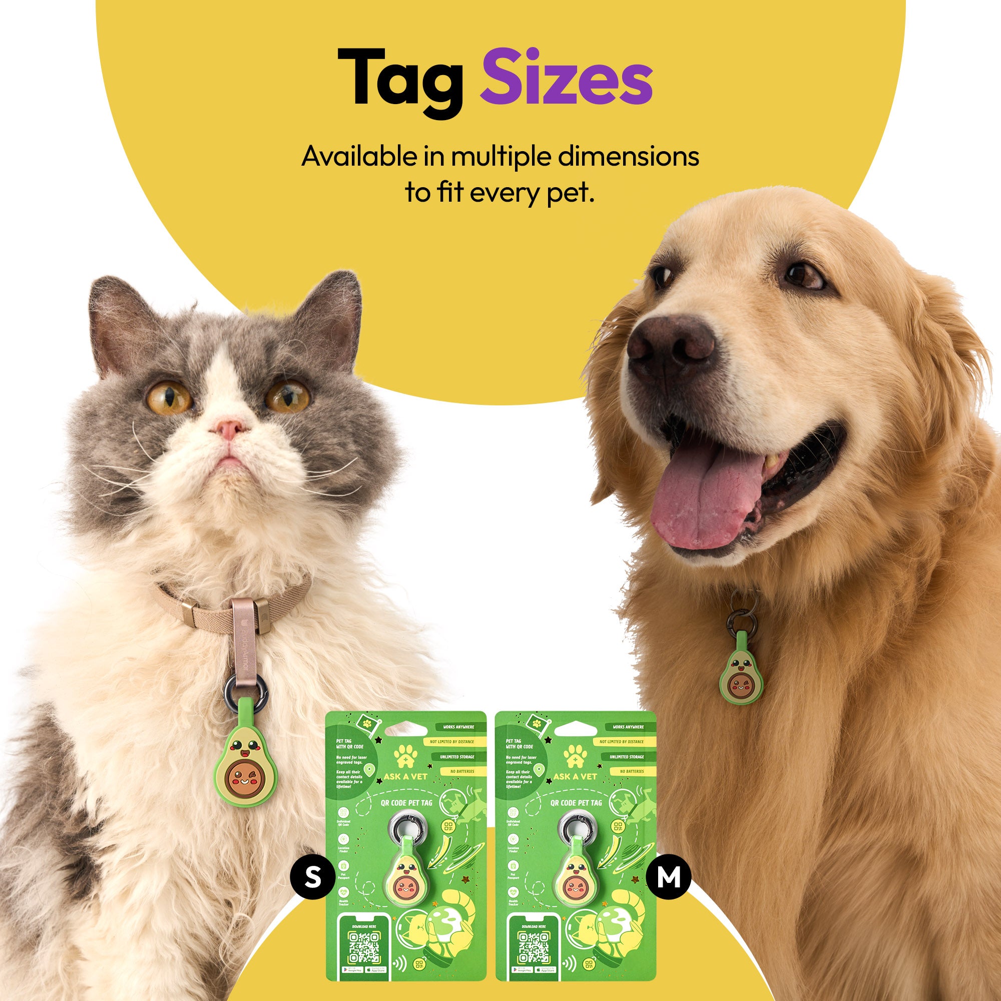 ST CATTIES TAG BUNDLE