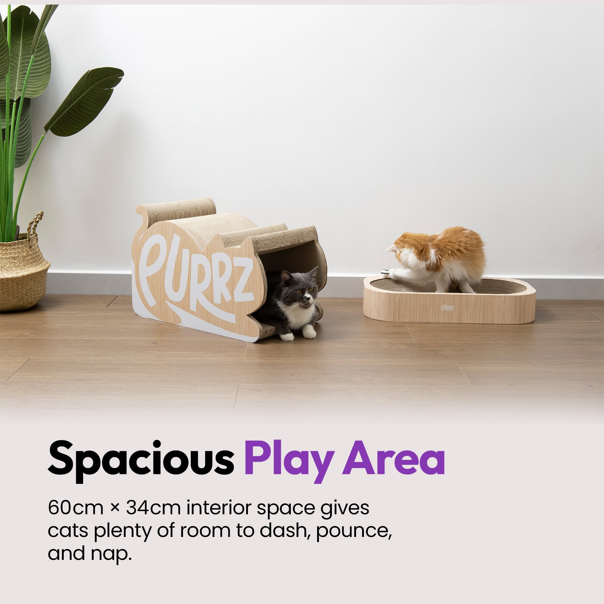 Túnel gigante para gatos, rascador con descanso y juego de bolas de lana