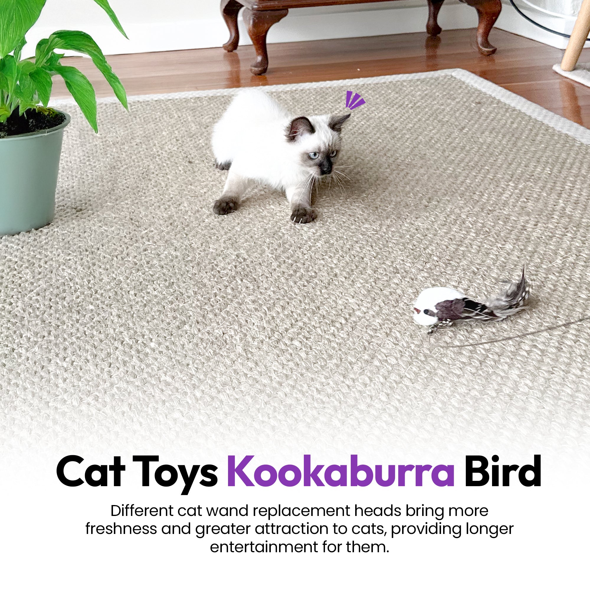 Kookaburra Craze Feder-Spielzeug-Anhänger-Set (5er Pack / Vögel)