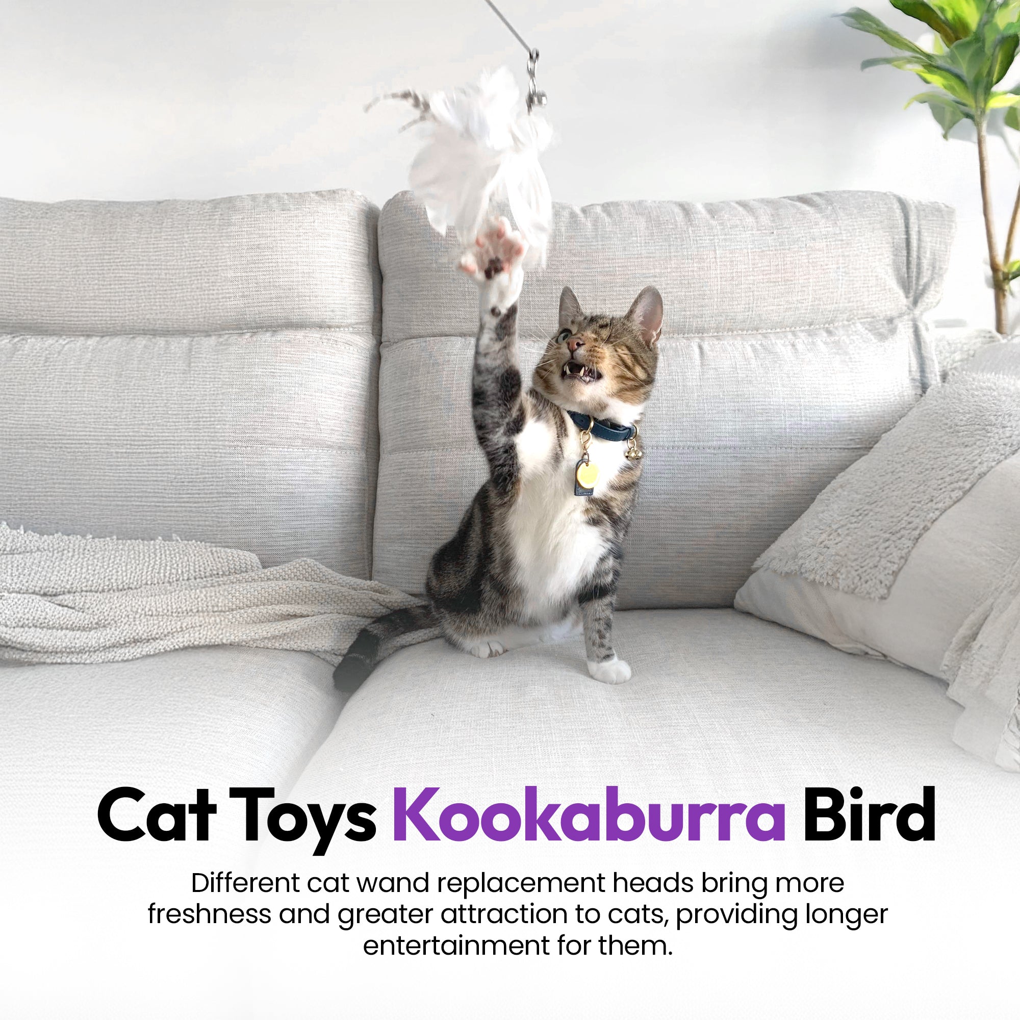 Kookaburra Craze Feather Toy Attachment Set (5 Pack / Jingle Jangles)