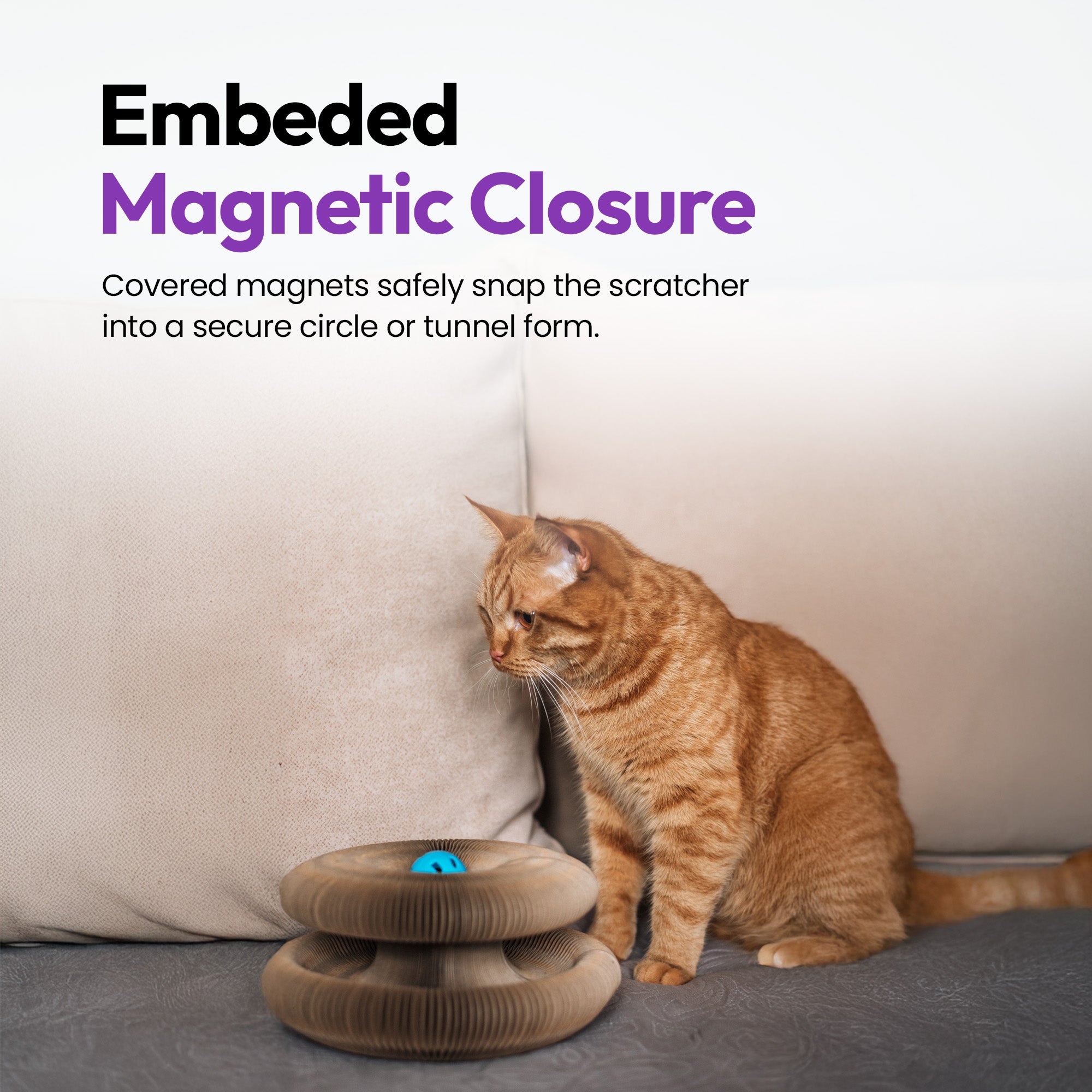 伸展与弹性猫玩具