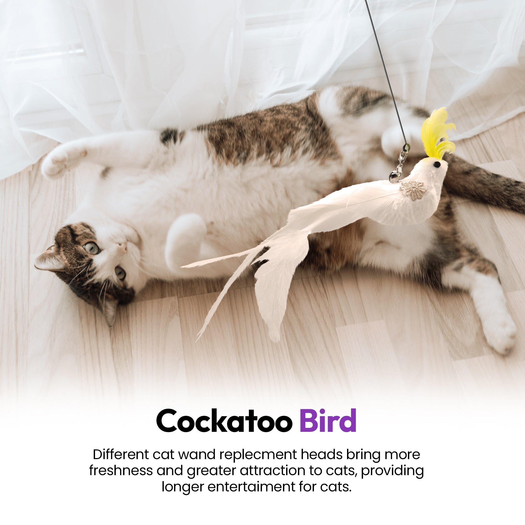 Cockatoo Chaos Feder-Spielzeug-Anhänger-Set (5er Pack / Vögel)
