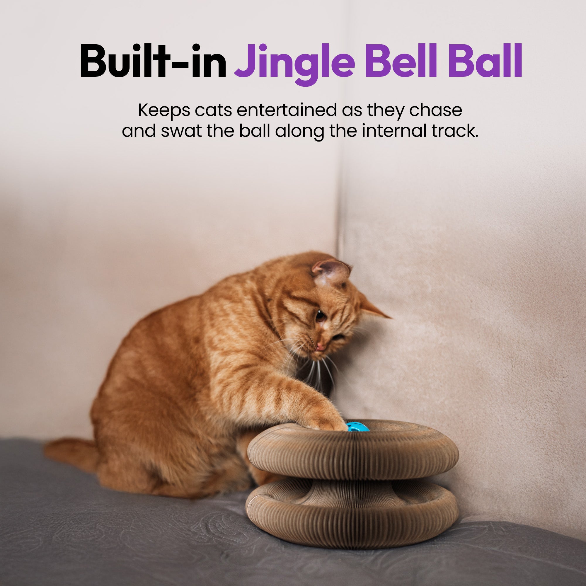 伸展与弹性猫玩具