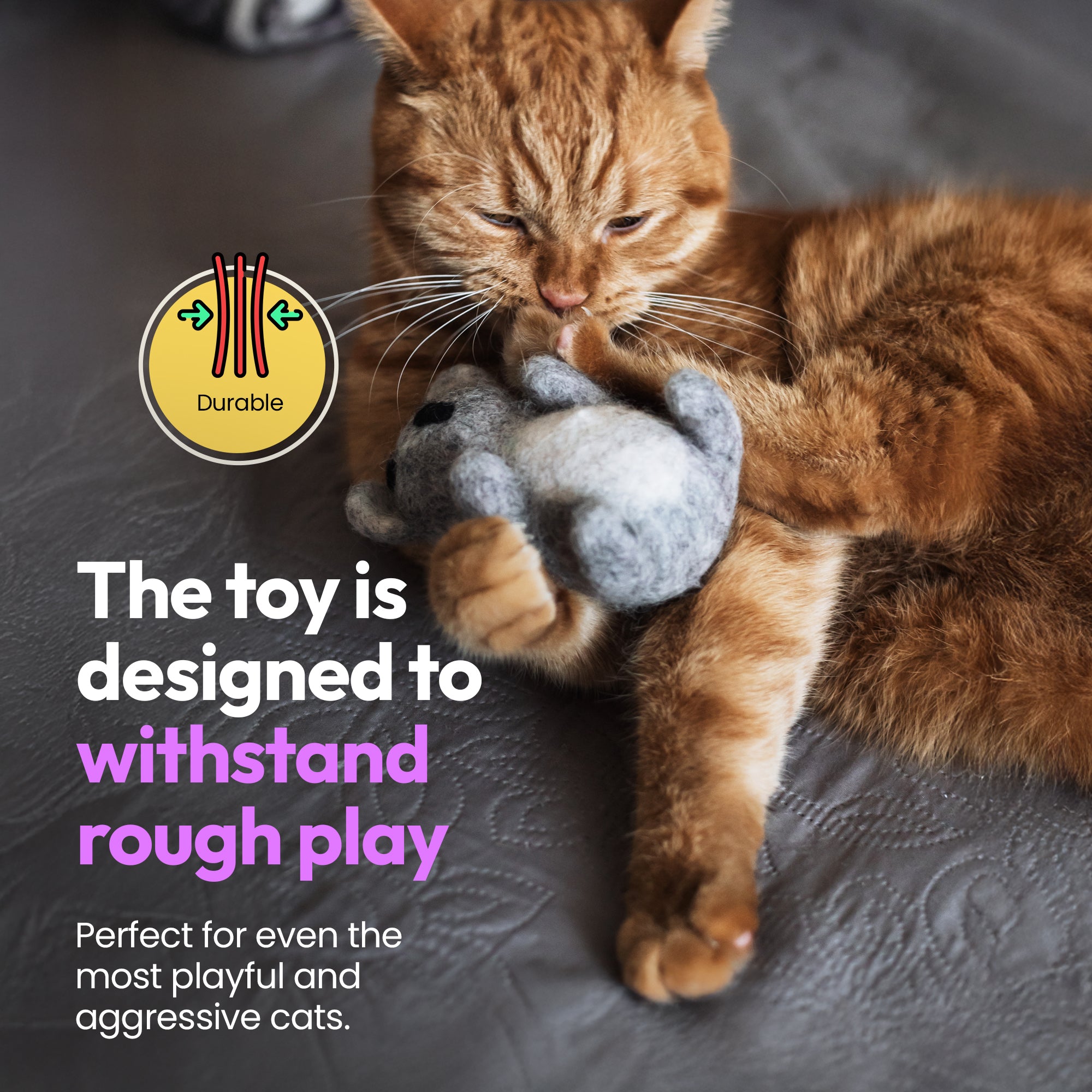 Coup de pied koala en laine mérinos fait main