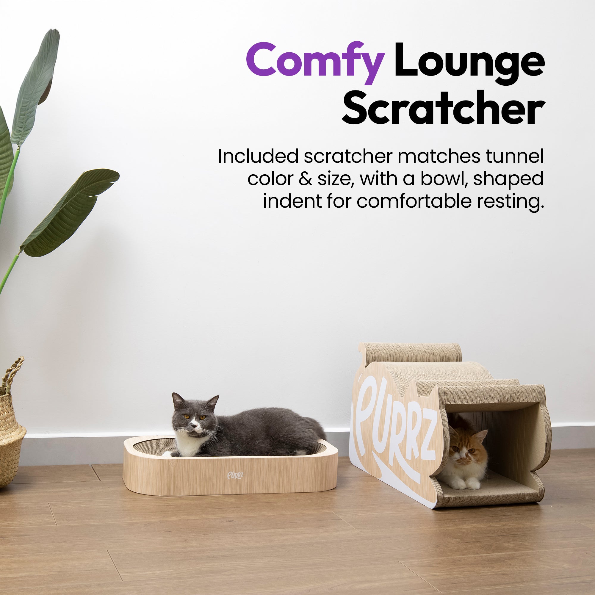 Túnel gigante para gatos, rascador con descanso y juego de bolas de lana