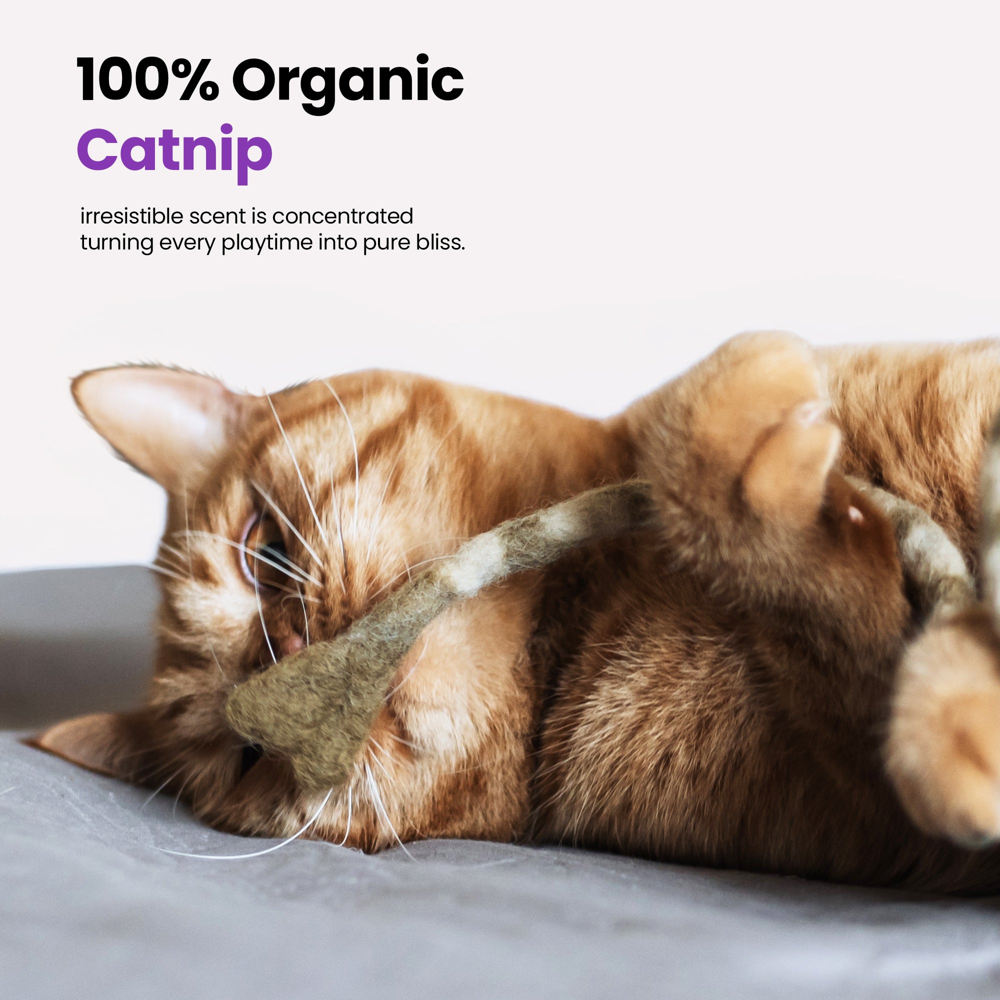 Handgefertigter Merinowoll-Kickball mit Lyrebird-Motiv