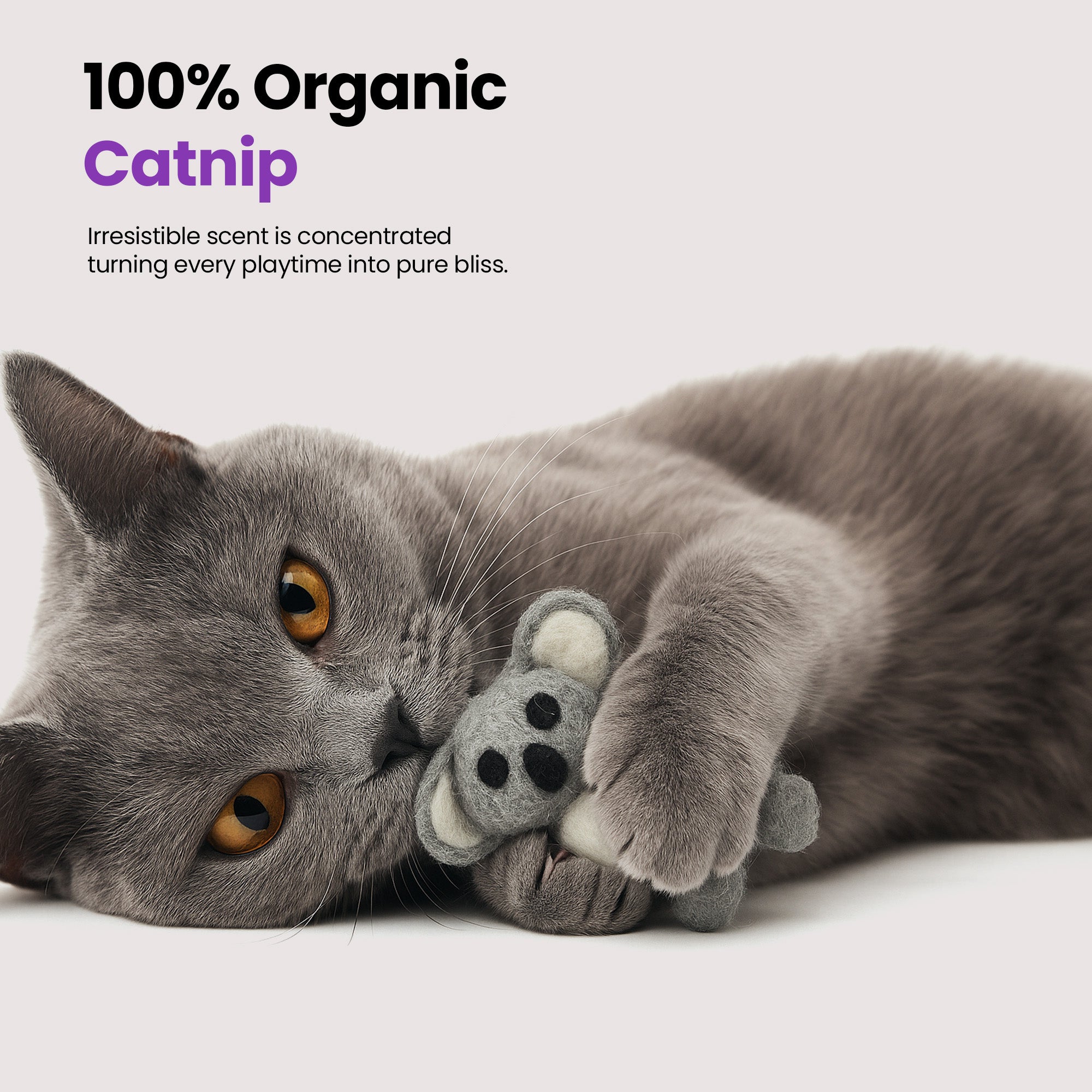 手工澳洲双人踢脚玩具套装