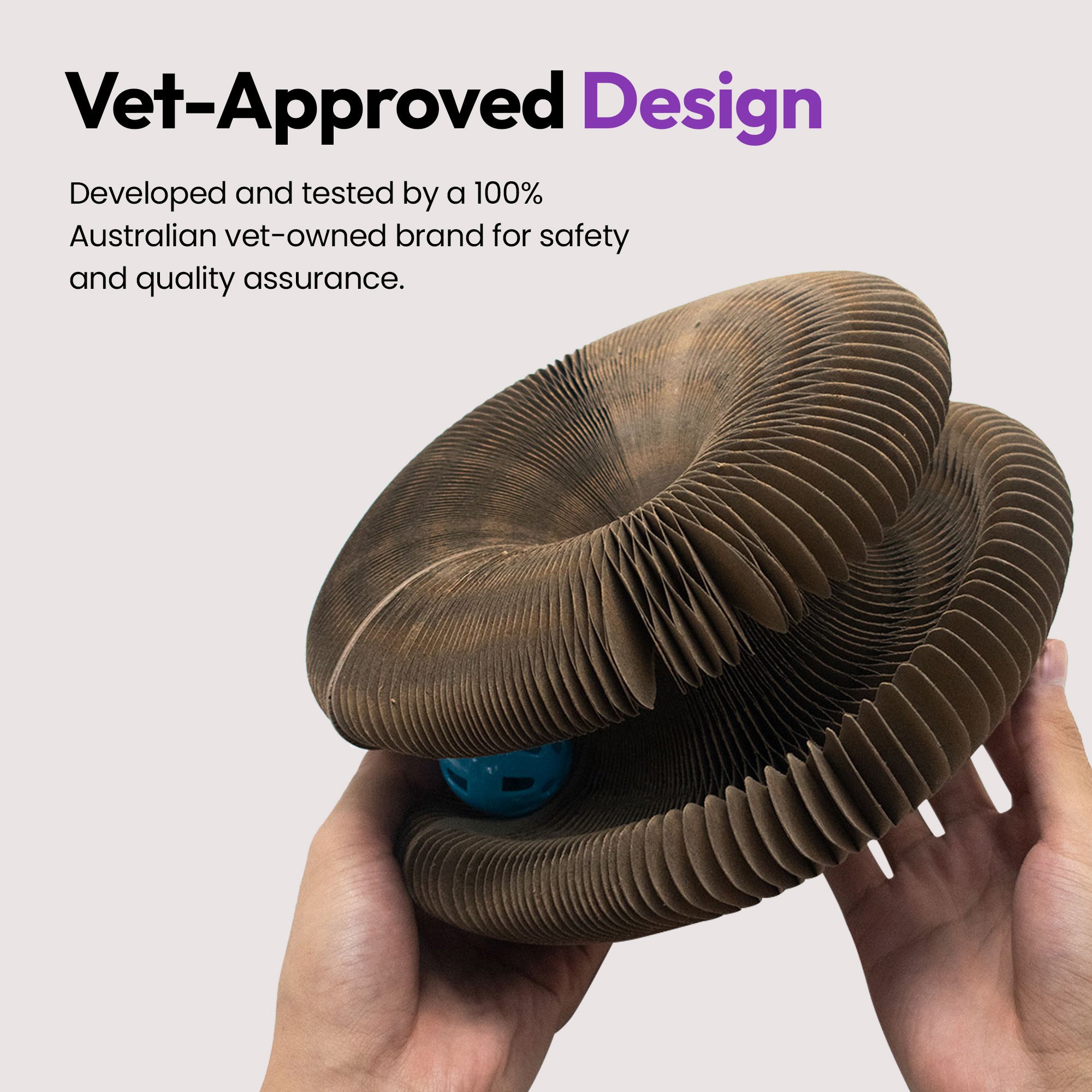 伸展与弹性猫玩具