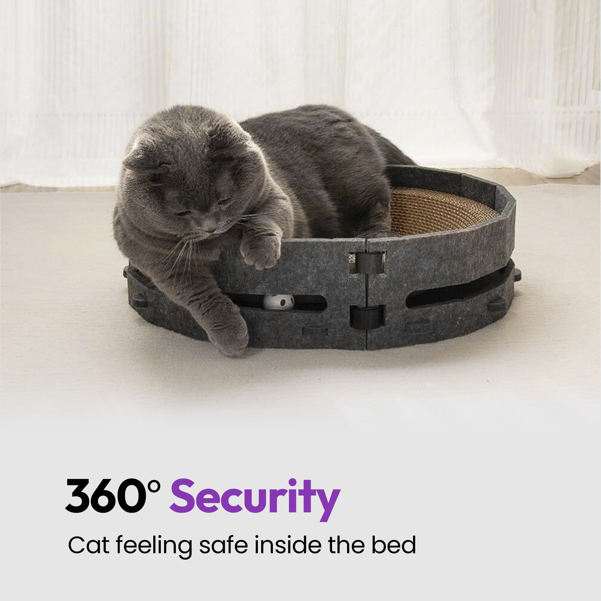 抓挠与休憩椭圆形玩具抓板