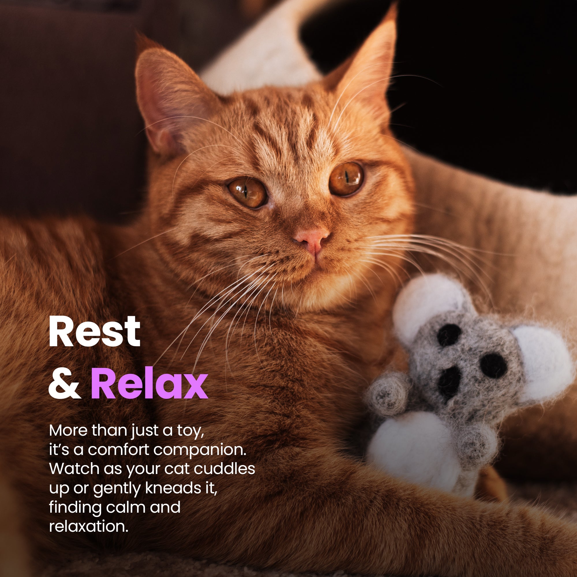 Coup de pied koala en laine mérinos fait main