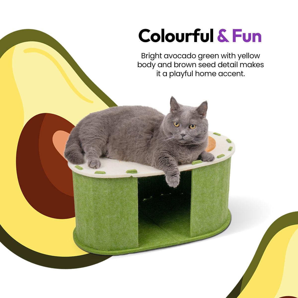 Avo-Cat-O Haus