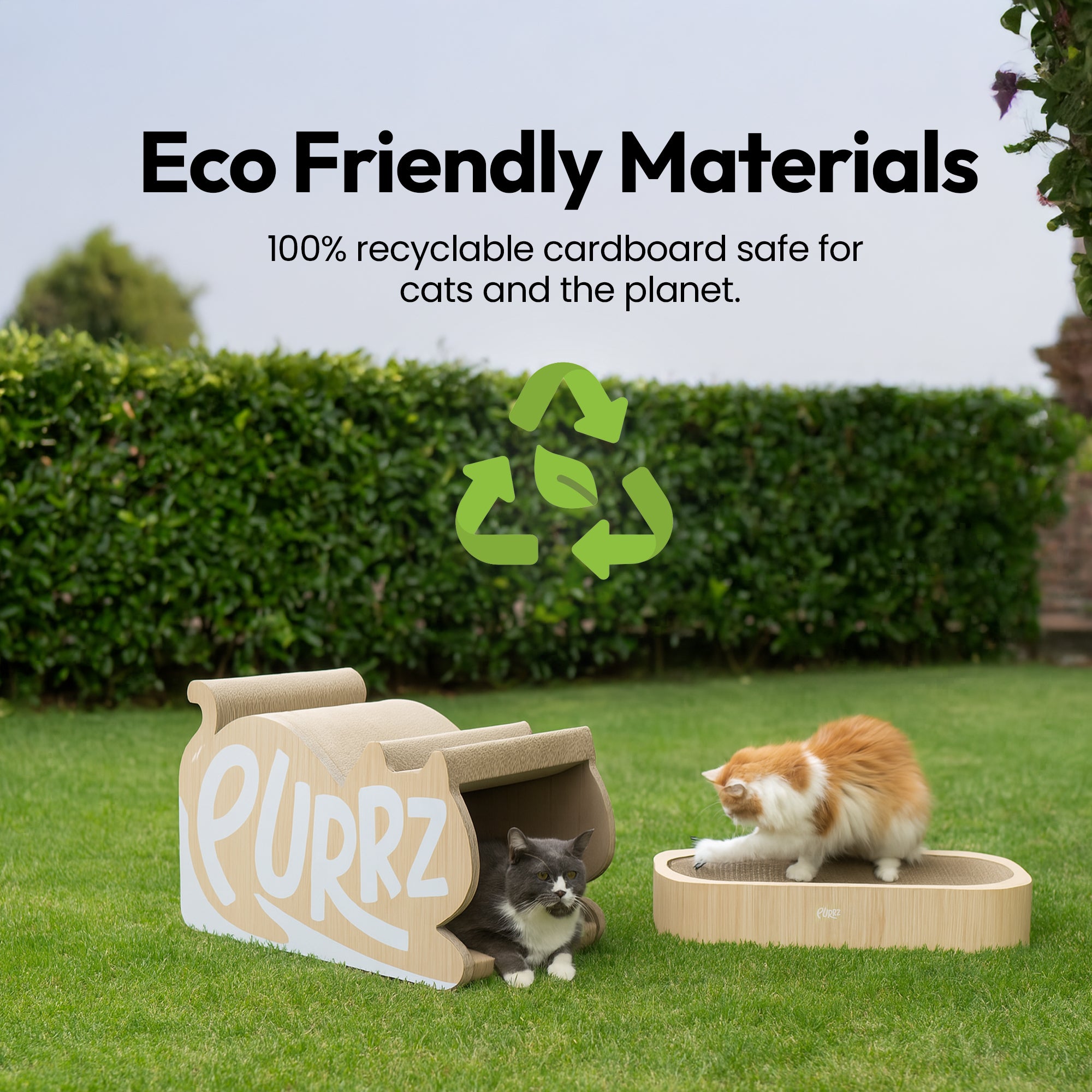 Túnel gigante para gatos, rascador con descanso y juego de bolas de lana