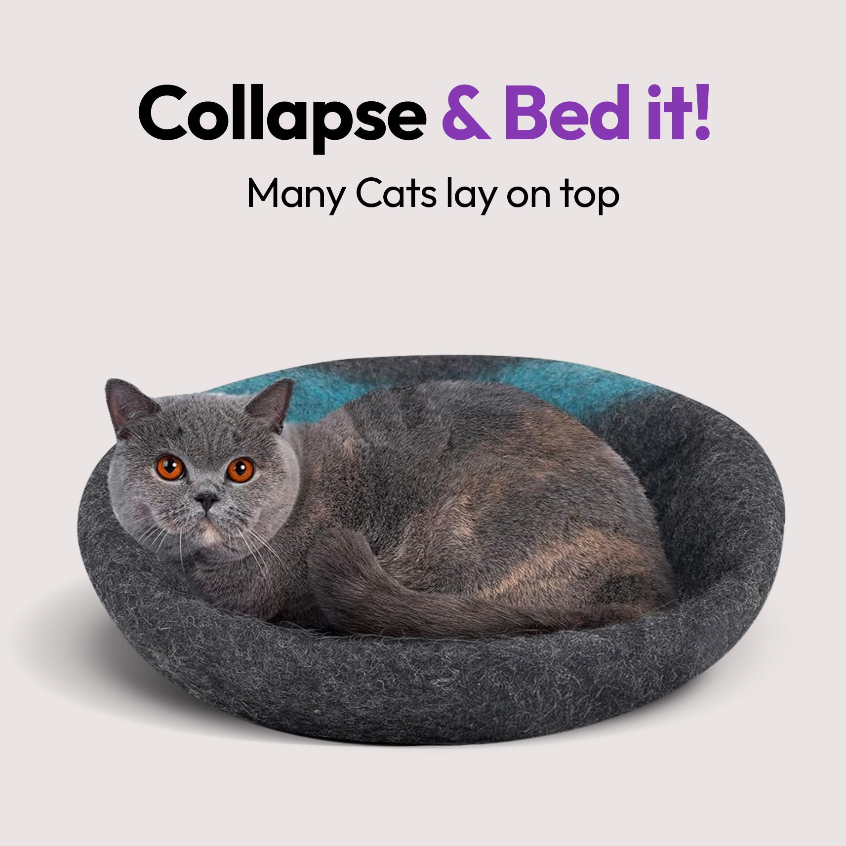 手作りメリノ羊毛の洞窟（エミュー）