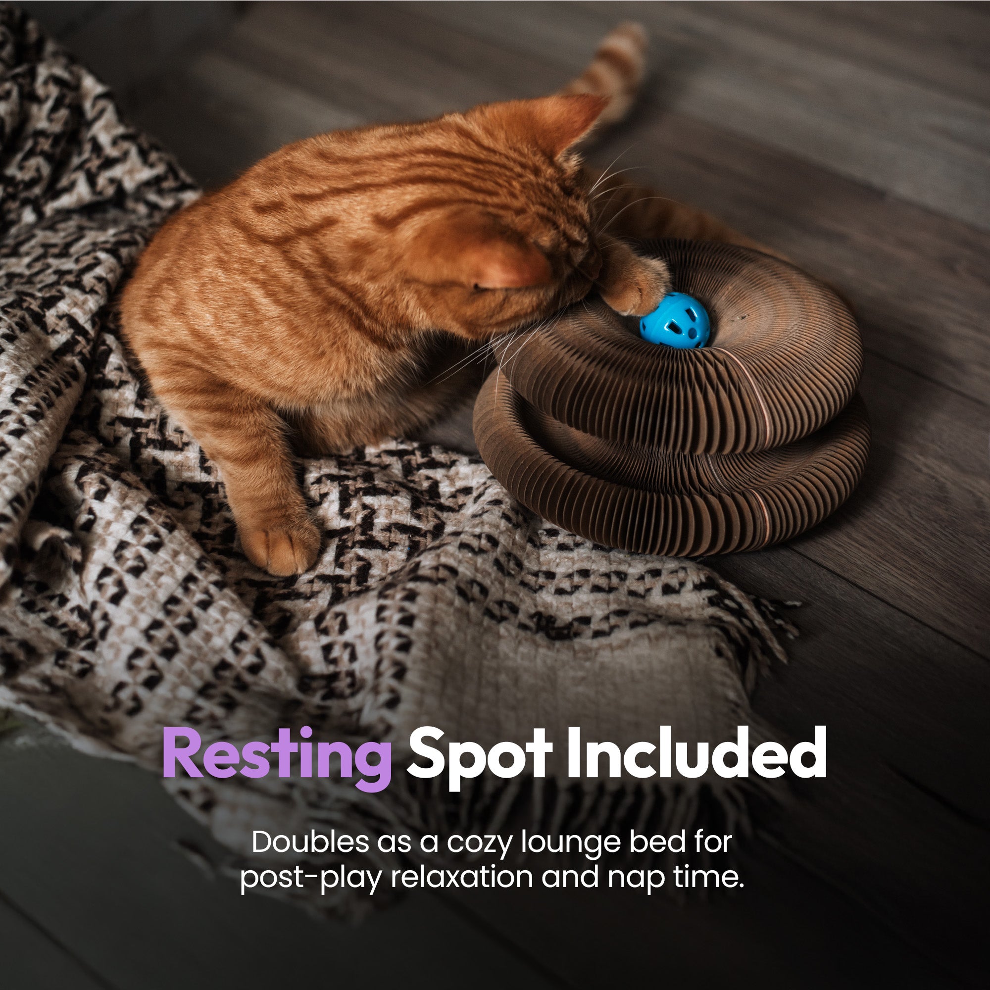 伸展与弹性猫玩具