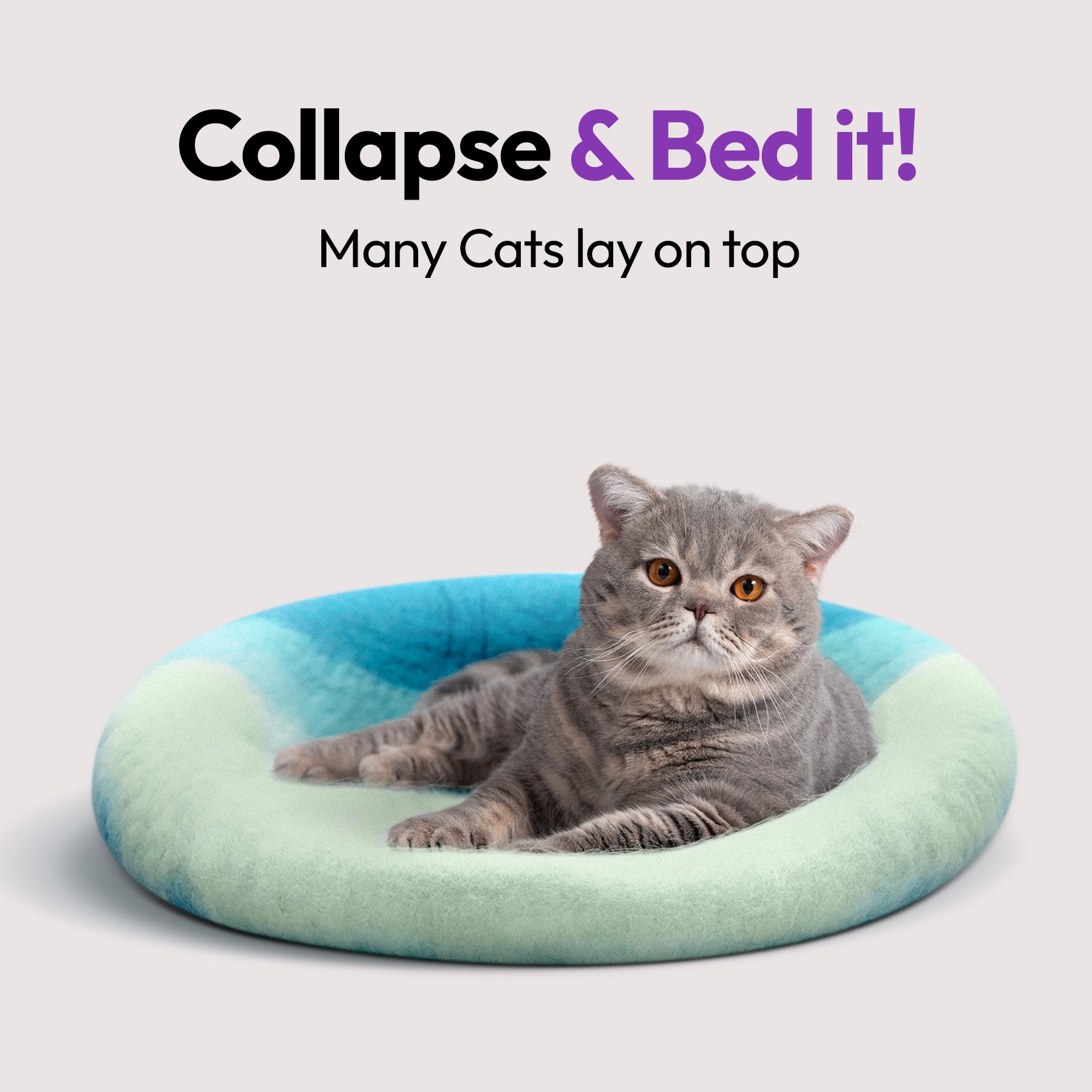 手作りメリノ羊毛の洞窟（シドニー）