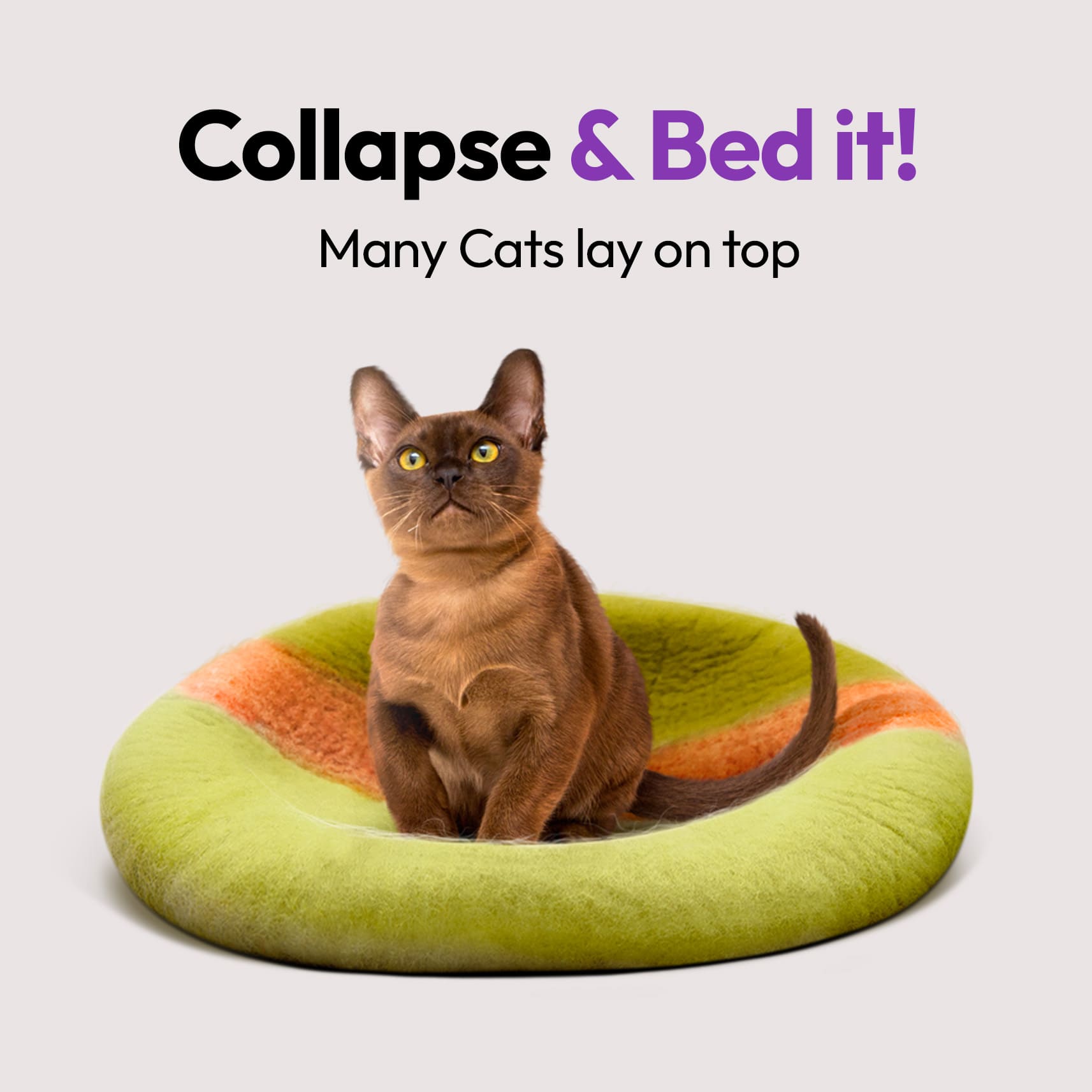 手作りメリノ羊毛の洞窟（ガムツリー）