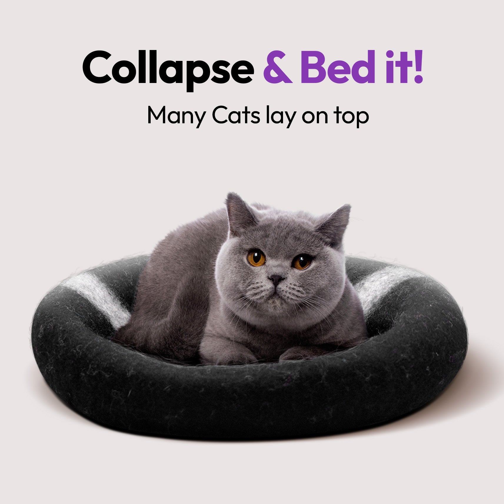 手作りメリノ羊毛の洞窟（タスマニアデビル）