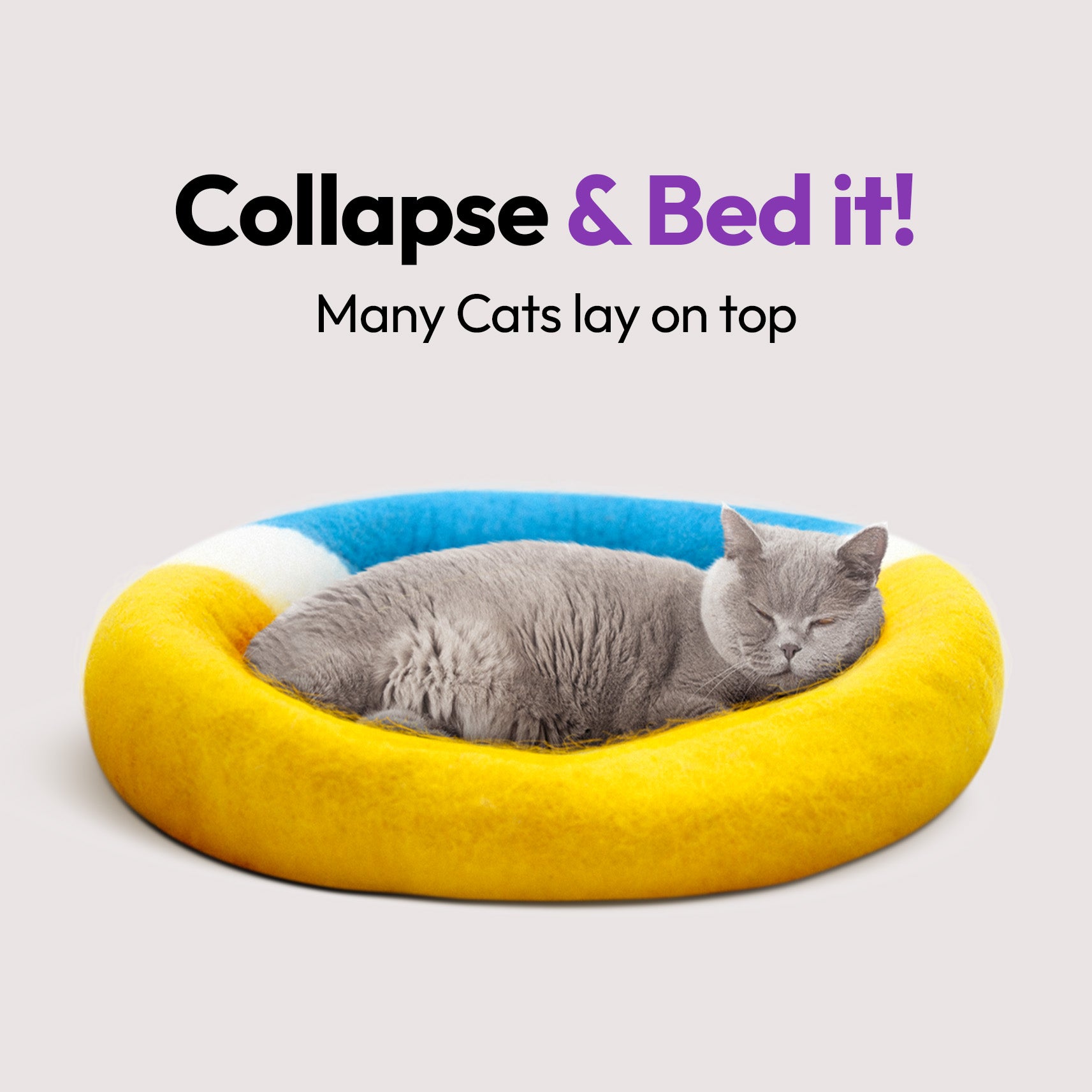 手作りメリノウールの洞窟（グレートバリアリーフ）